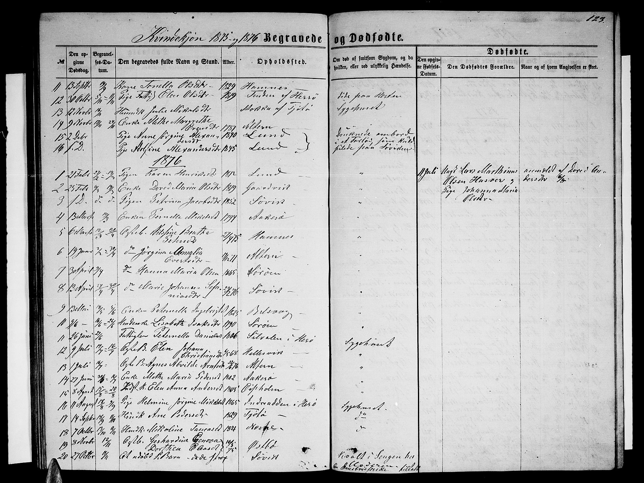 Ministerialprotokoller, klokkerbøker og fødselsregistre - Nordland, AV/SAT-A-1459/830/L0461: Parish register (copy) no. 830C03, 1866-1881, p. 123