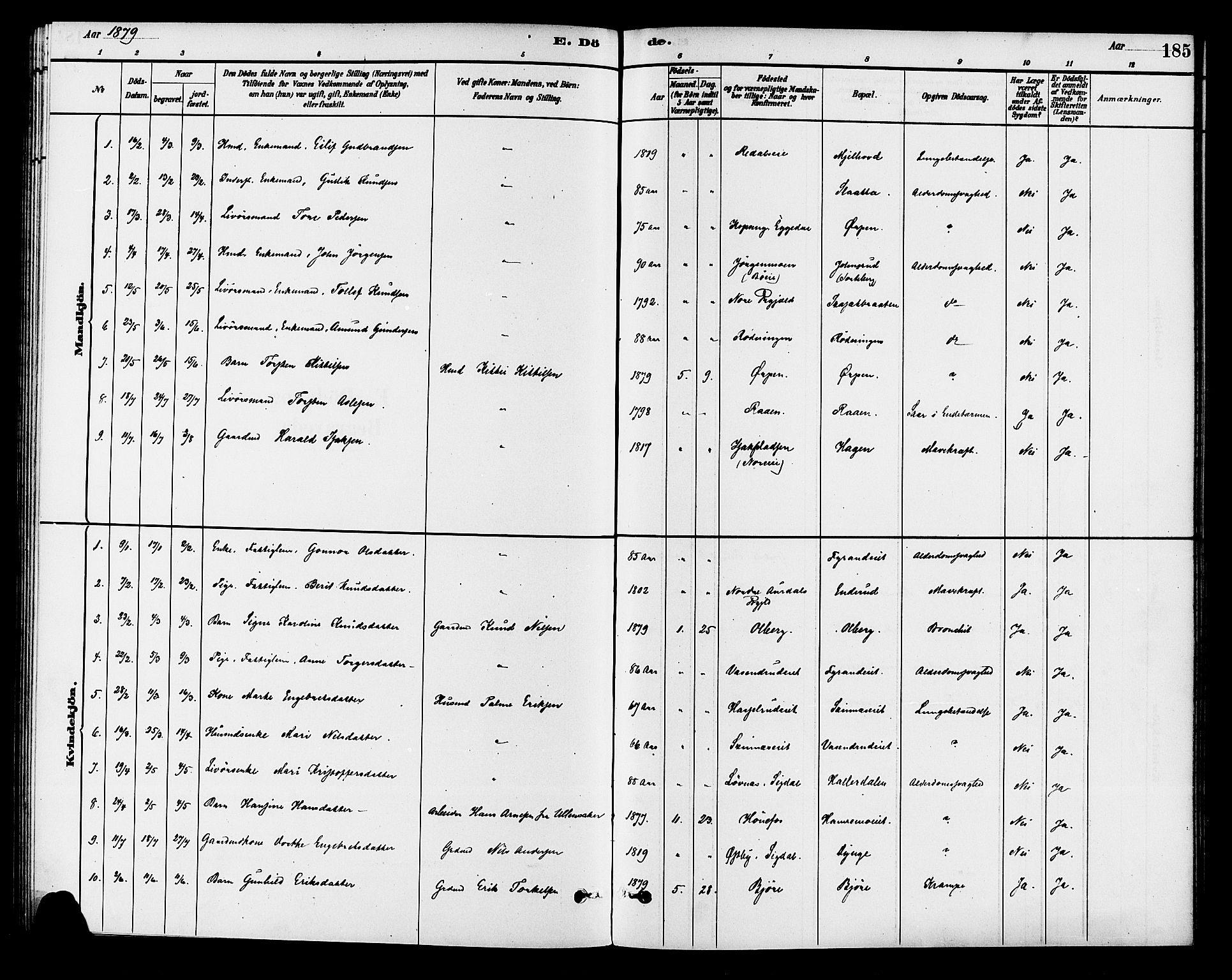 Krødsherad kirkebøker, SAKO/A-19/G/Ga/L0001: Parish register (copy) no. 1, 1879-1893, p. 185