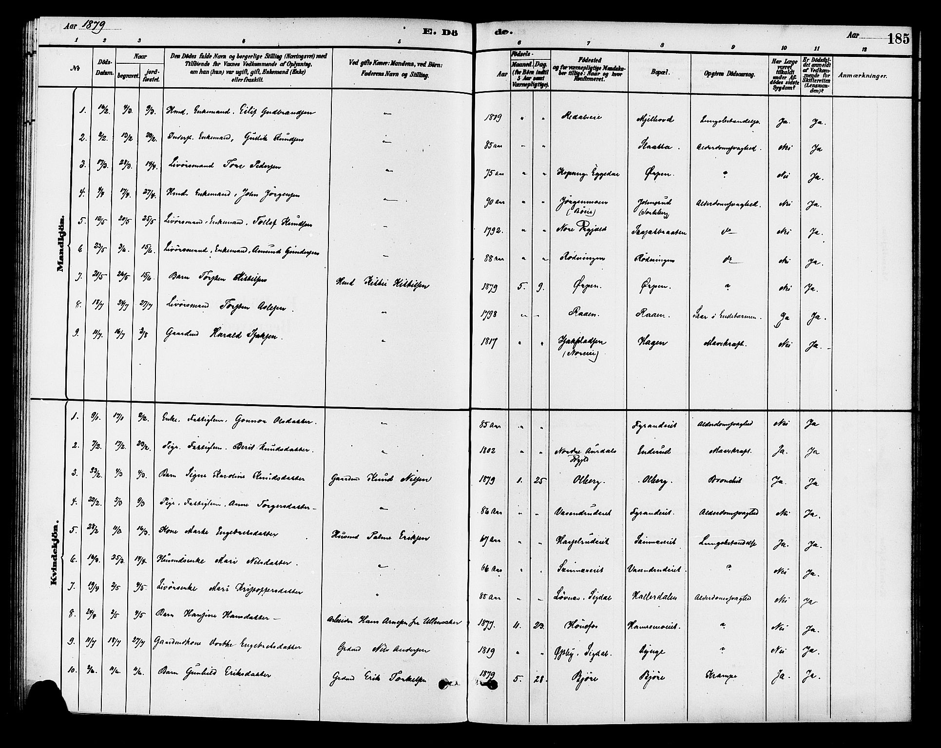 Krødsherad kirkebøker, AV/SAKO-A-19/G/Ga/L0001: Parish register (copy) no. 1, 1879-1893, p. 185