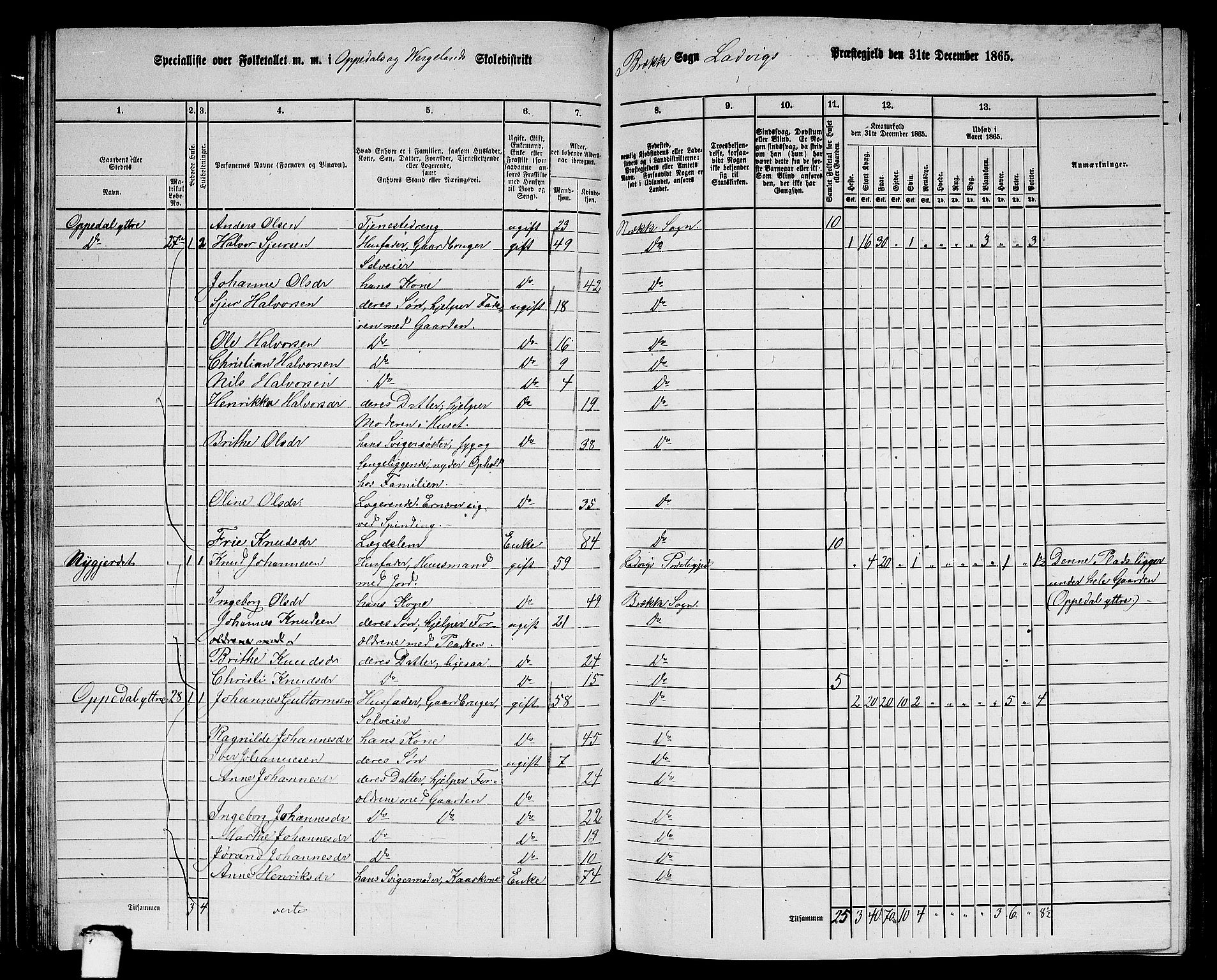 RA, 1865 census for Lavik, 1865, p. 80