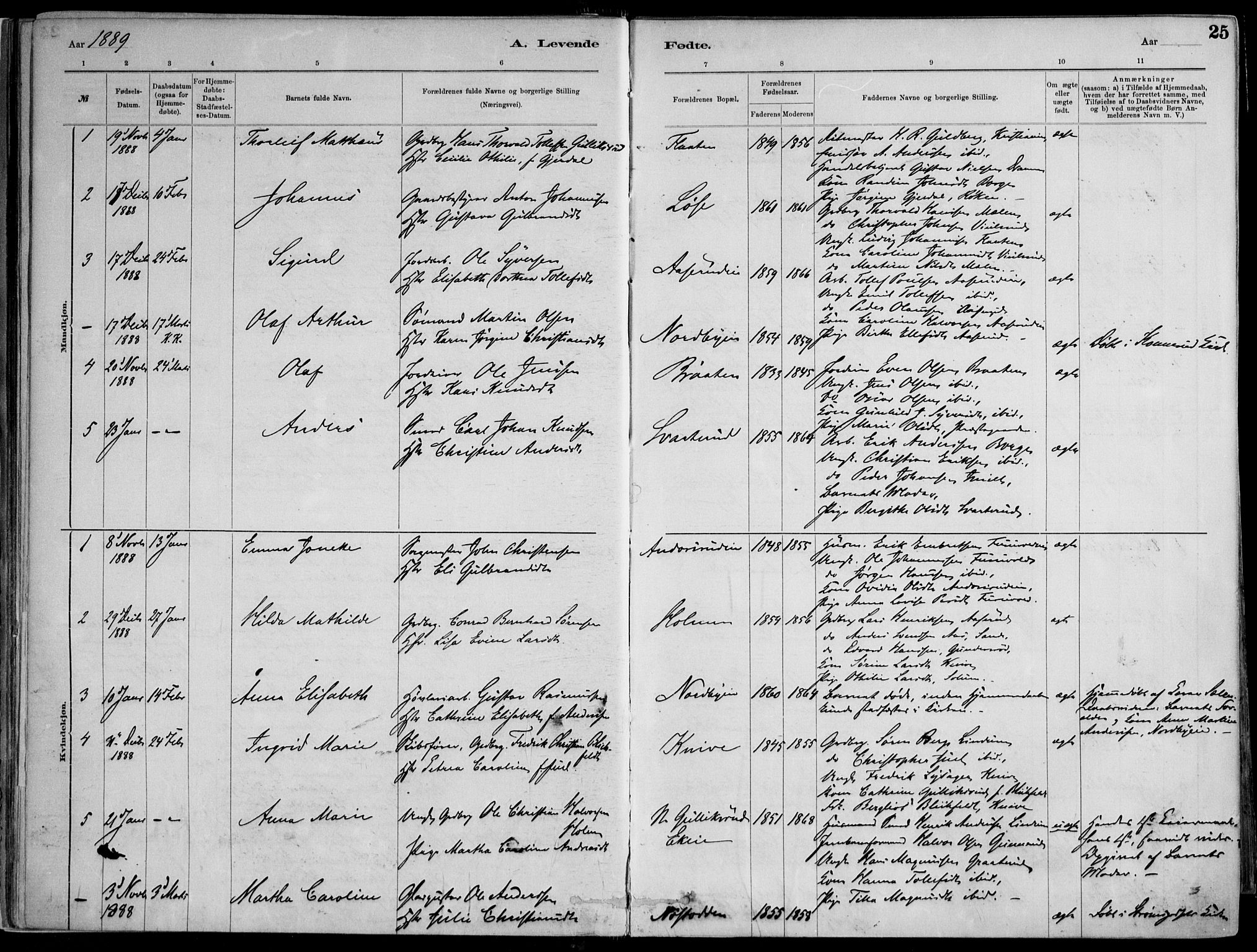 Skoger kirkebøker, AV/SAKO-A-59/F/Fa/L0006: Parish register (official) no. I 6, 1885-1910, p. 25