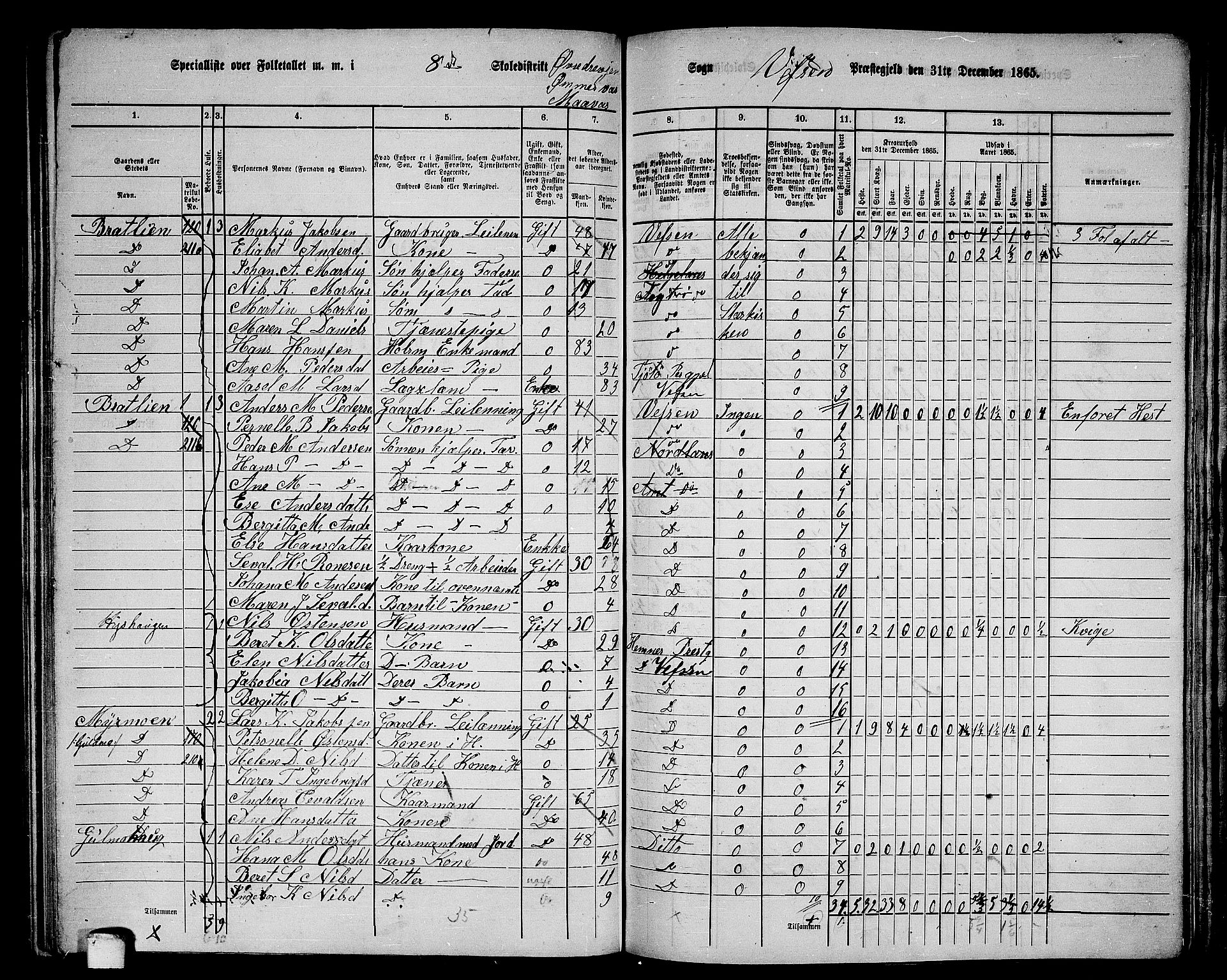 RA, 1865 census for Vefsn, 1865, p. 156