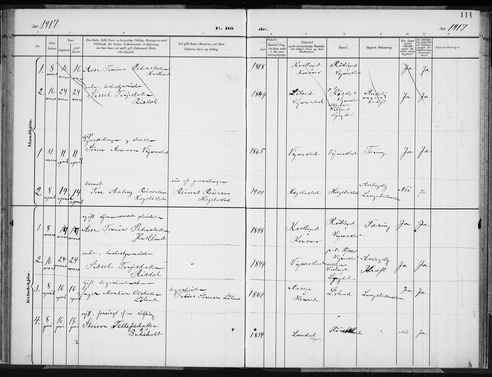 Nord-Audnedal sokneprestkontor, AV/SAK-1111-0032/F/Fa/Fab/L0004: Parish register (official) no. A 4, 1901-1917, p. 114