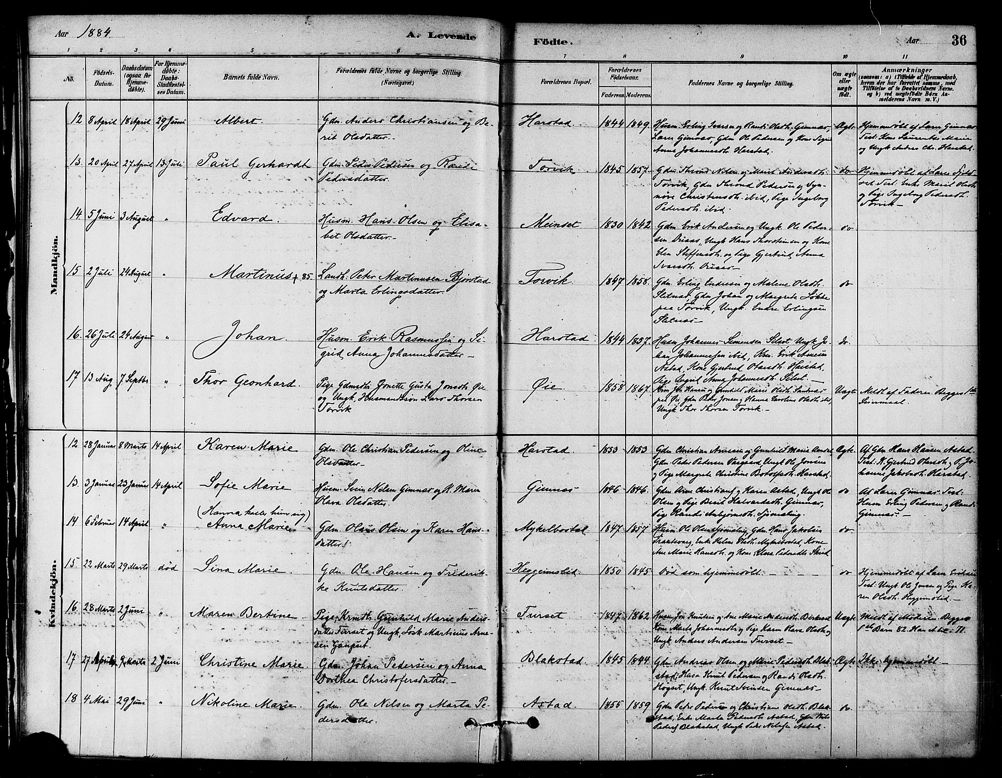 Ministerialprotokoller, klokkerbøker og fødselsregistre - Møre og Romsdal, AV/SAT-A-1454/584/L0967: Parish register (official) no. 584A07, 1879-1894, p. 36