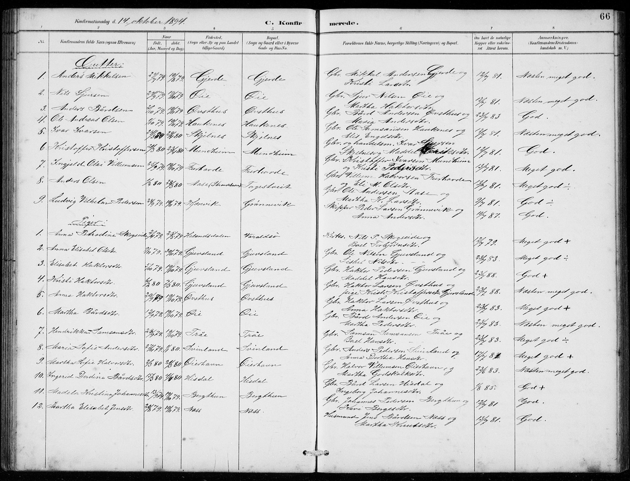Strandebarm sokneprestembete, SAB/A-78401/H/Hab: Parish register (copy) no. C  1, 1891-1913, p. 66