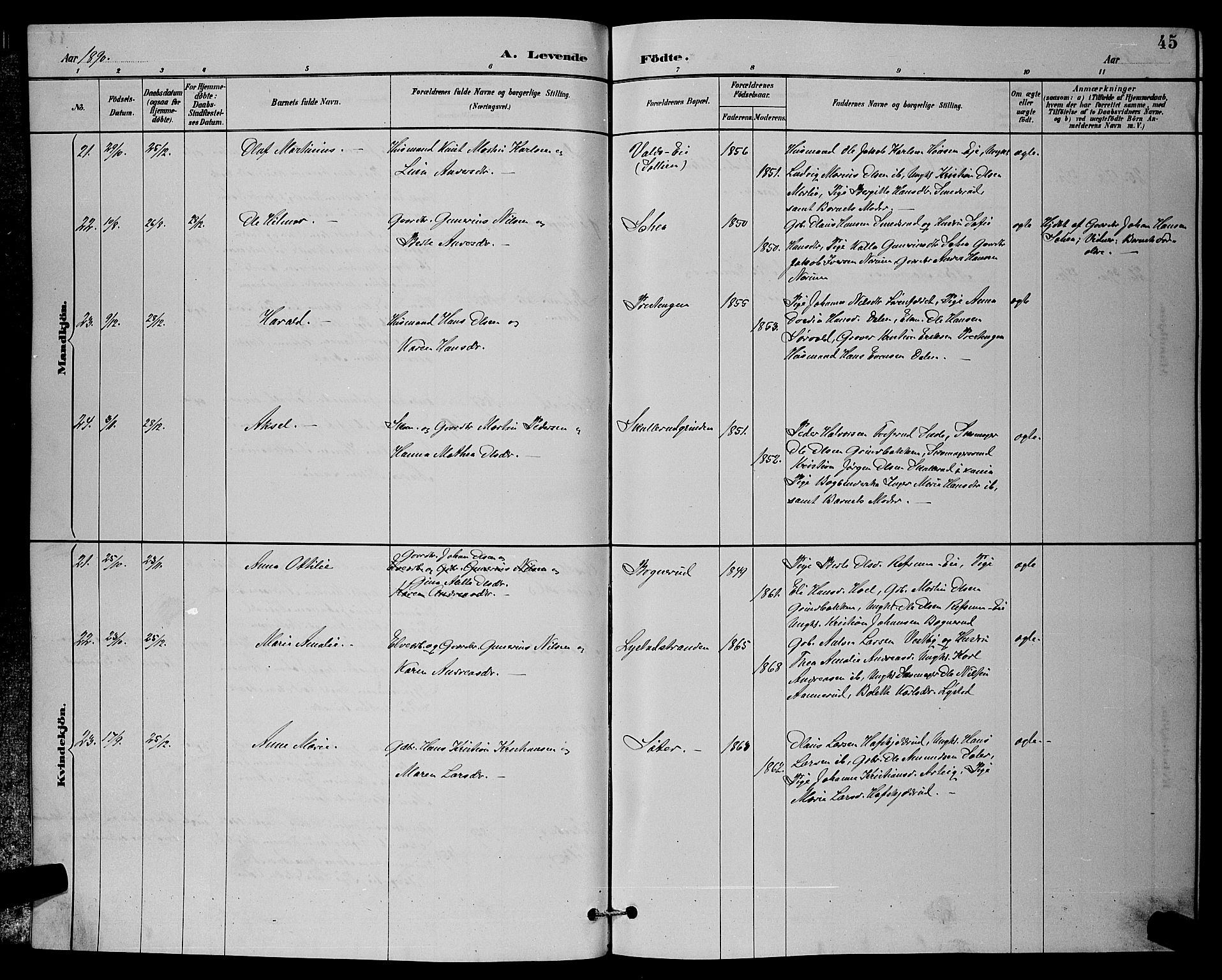 Sørum prestekontor Kirkebøker, AV/SAO-A-10303/G/Ga/L0005: Parish register (copy) no. I 5.1, 1886-1894, p. 45