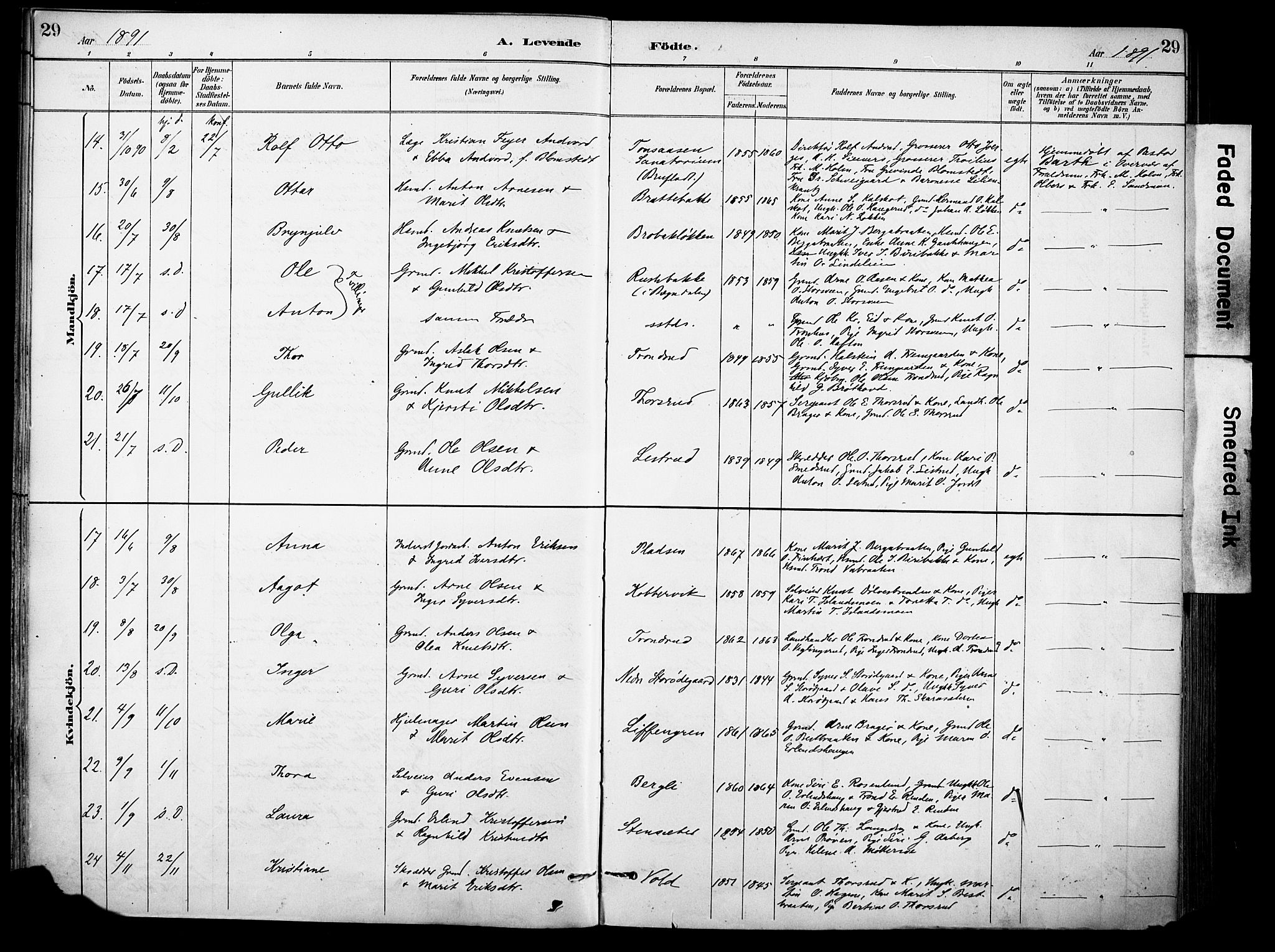 Sør-Aurdal prestekontor, AV/SAH-PREST-128/H/Ha/Haa/L0009: Parish register (official) no. 9, 1886-1906, p. 29