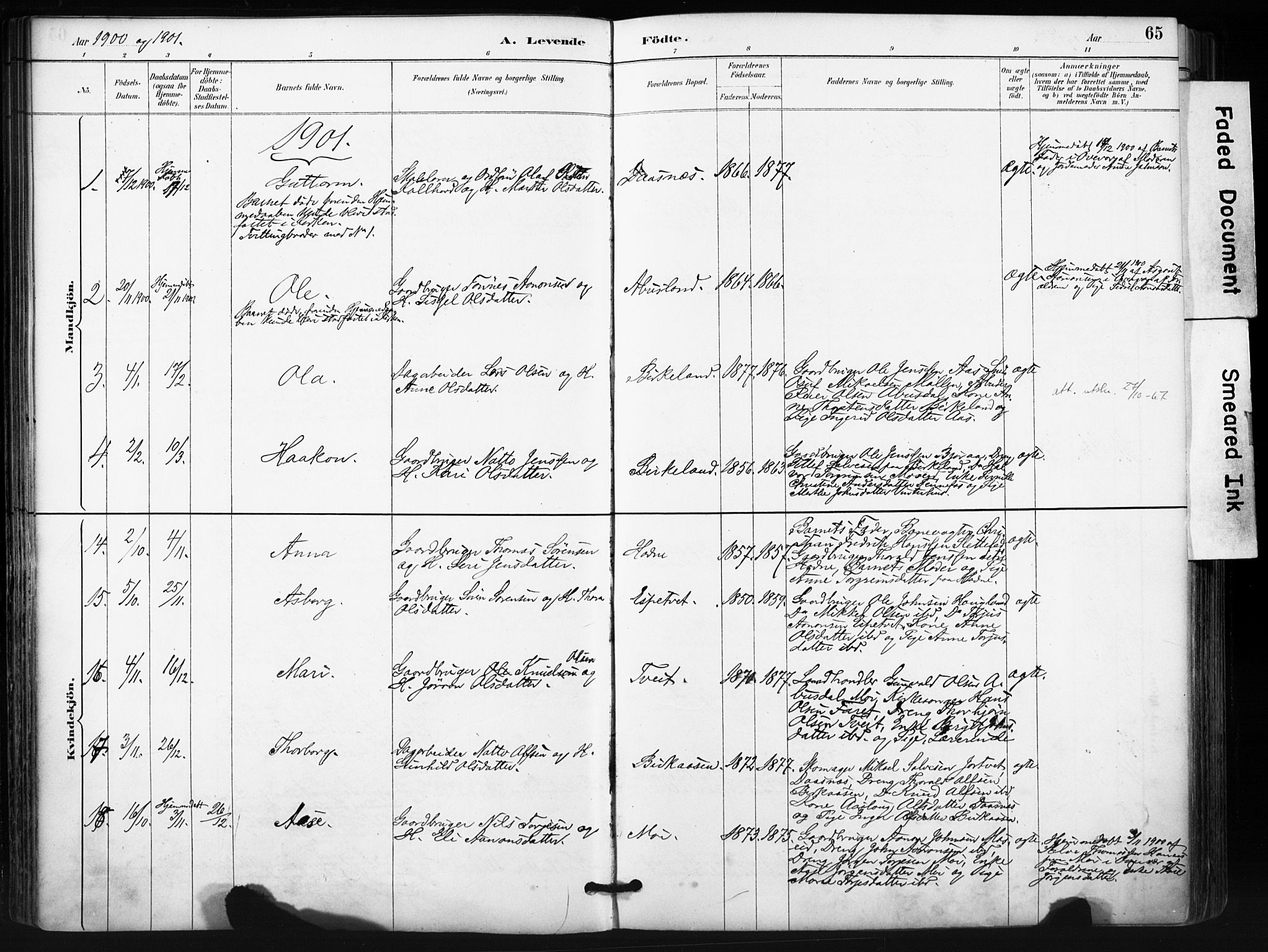 Evje sokneprestkontor, SAK/1111-0008/F/Fa/Fab/L0003: Parish register (official) no. A 3, 1884-1909, p. 65