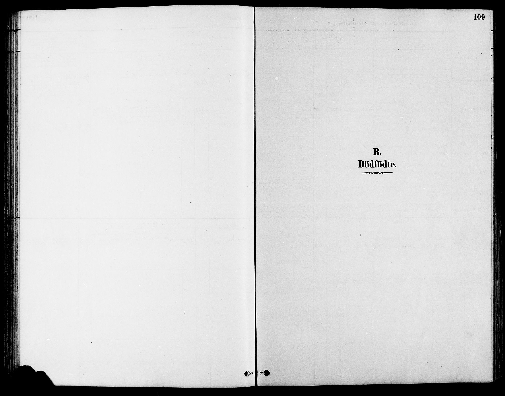 Nord-Fron prestekontor, SAH/PREST-080/H/Ha/Hab/L0004: Parish register (copy) no. 4, 1884-1914, p. 109