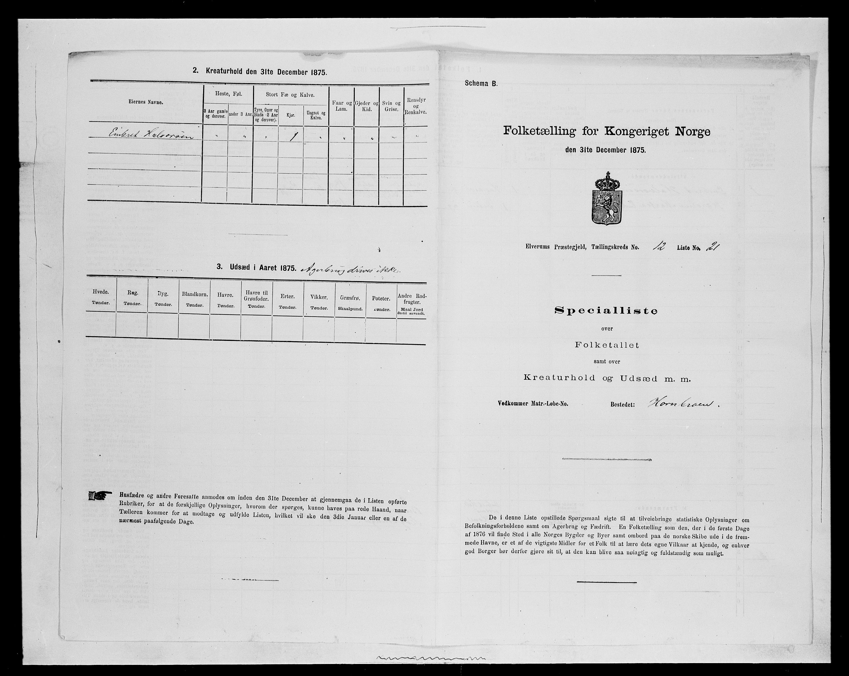 SAH, 1875 census for 0427P Elverum, 1875, p. 2333