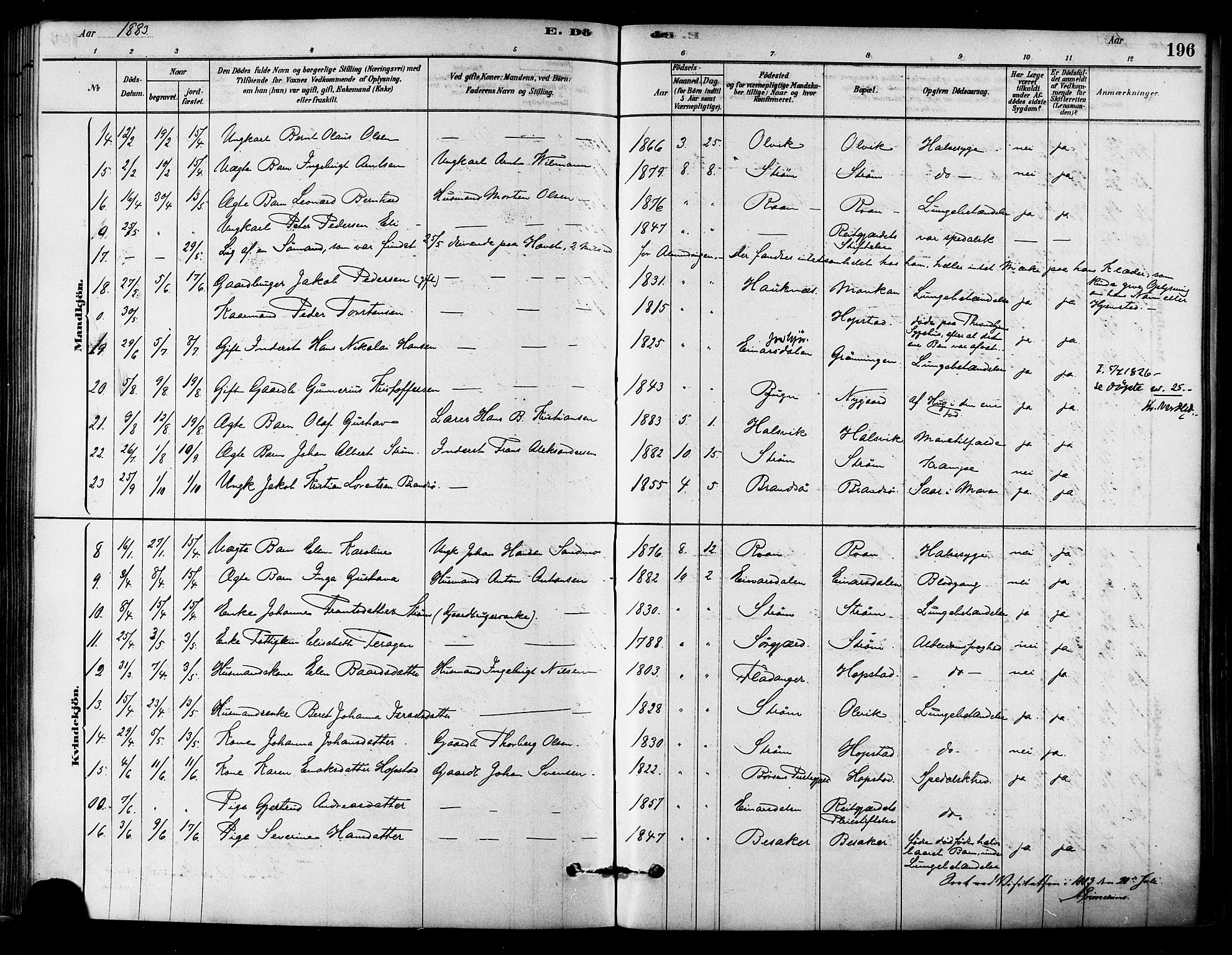 Ministerialprotokoller, klokkerbøker og fødselsregistre - Sør-Trøndelag, AV/SAT-A-1456/657/L0707: Parish register (official) no. 657A08, 1879-1893, p. 196