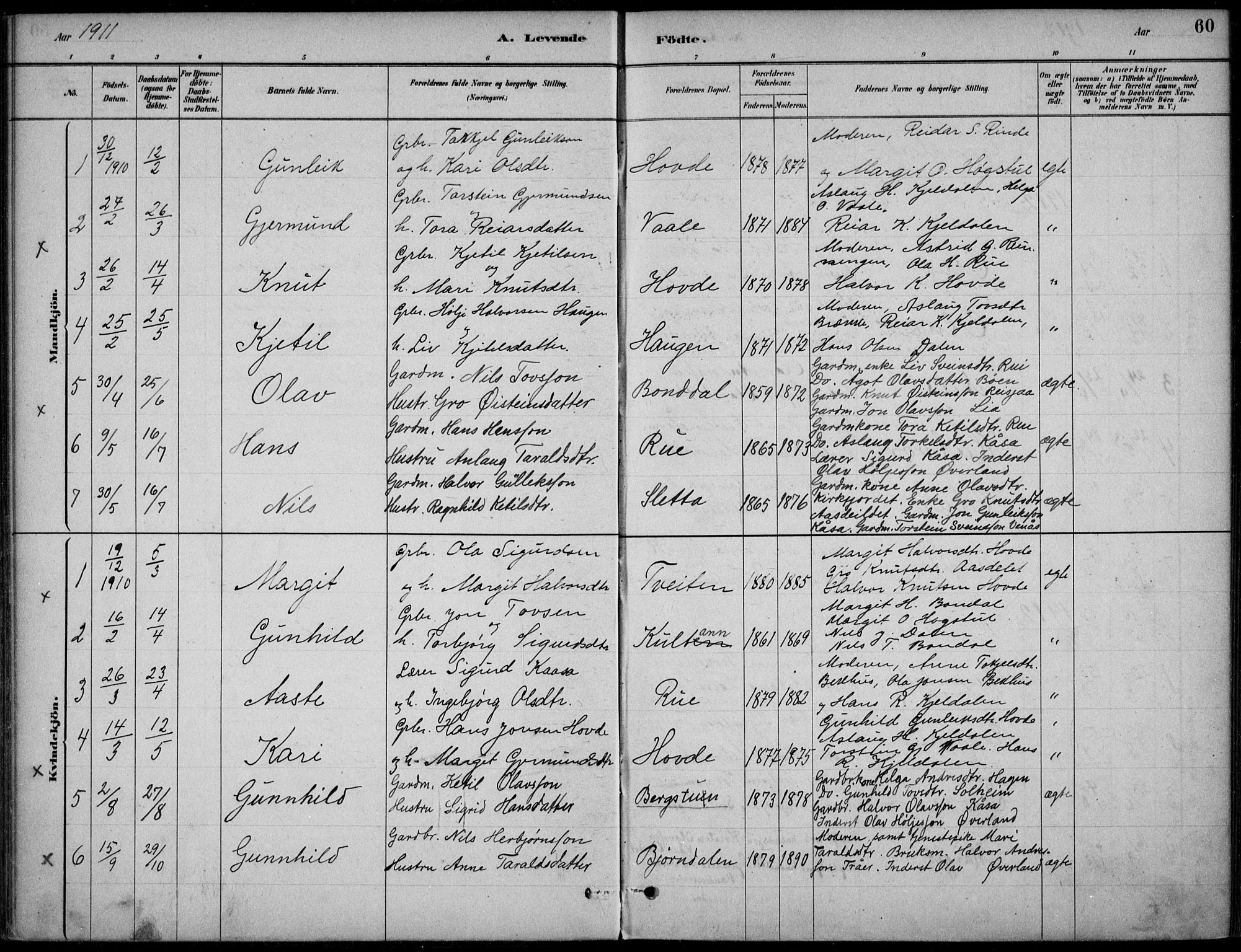 Hjartdal kirkebøker, AV/SAKO-A-270/F/Fc/L0002: Parish register (official) no. III 2, 1880-1936, p. 60