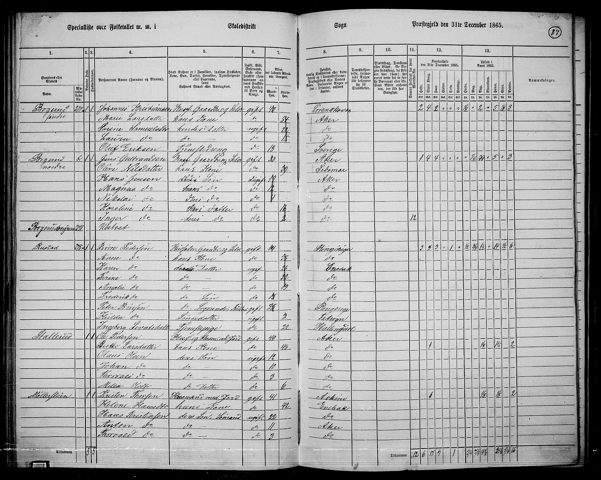 RA, 1865 census for Østre Aker, 1865, p. 311
