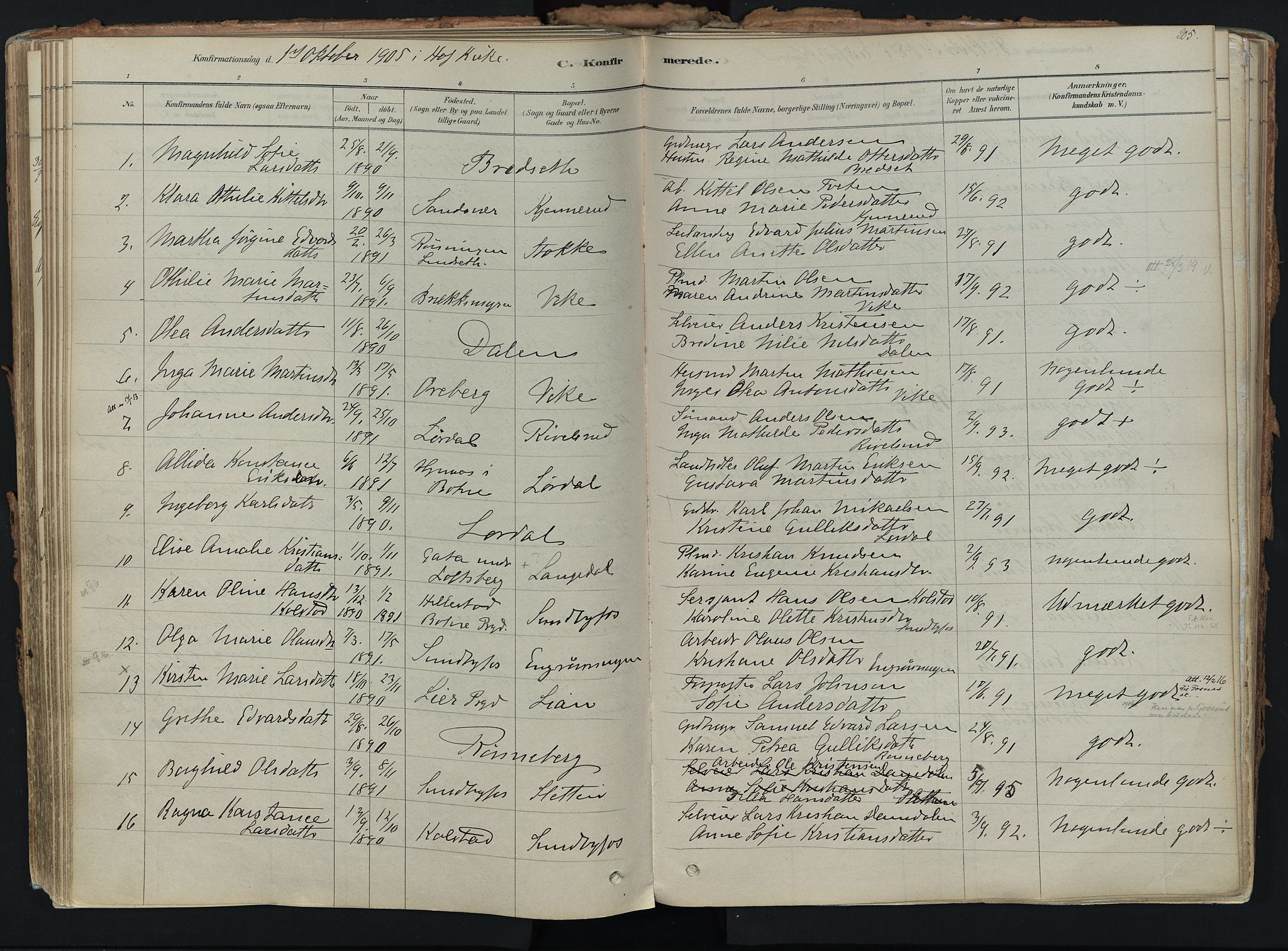 Hof kirkebøker, SAKO/A-64/F/Fa/L0007: Parish register (official) no. I 7, 1878-1940, p. 205