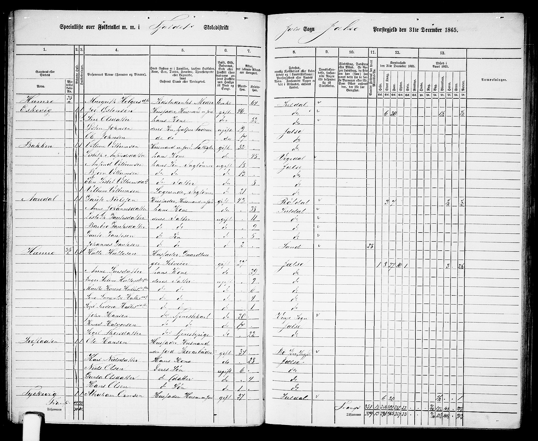 RA, 1865 census for Jelsa, 1865, p. 40