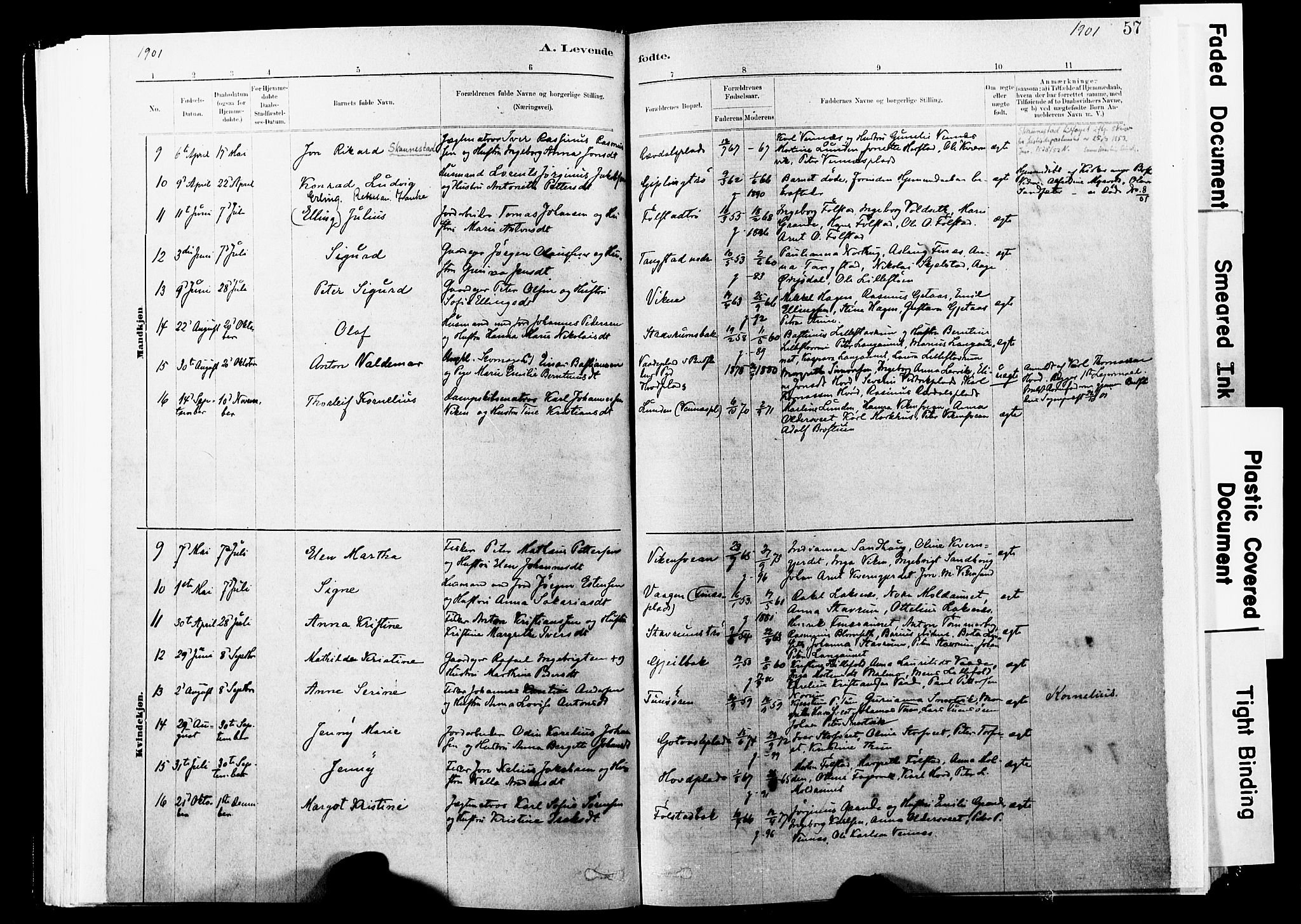 Ministerialprotokoller, klokkerbøker og fødselsregistre - Nord-Trøndelag, SAT/A-1458/744/L0420: Parish register (official) no. 744A04, 1882-1904, p. 57