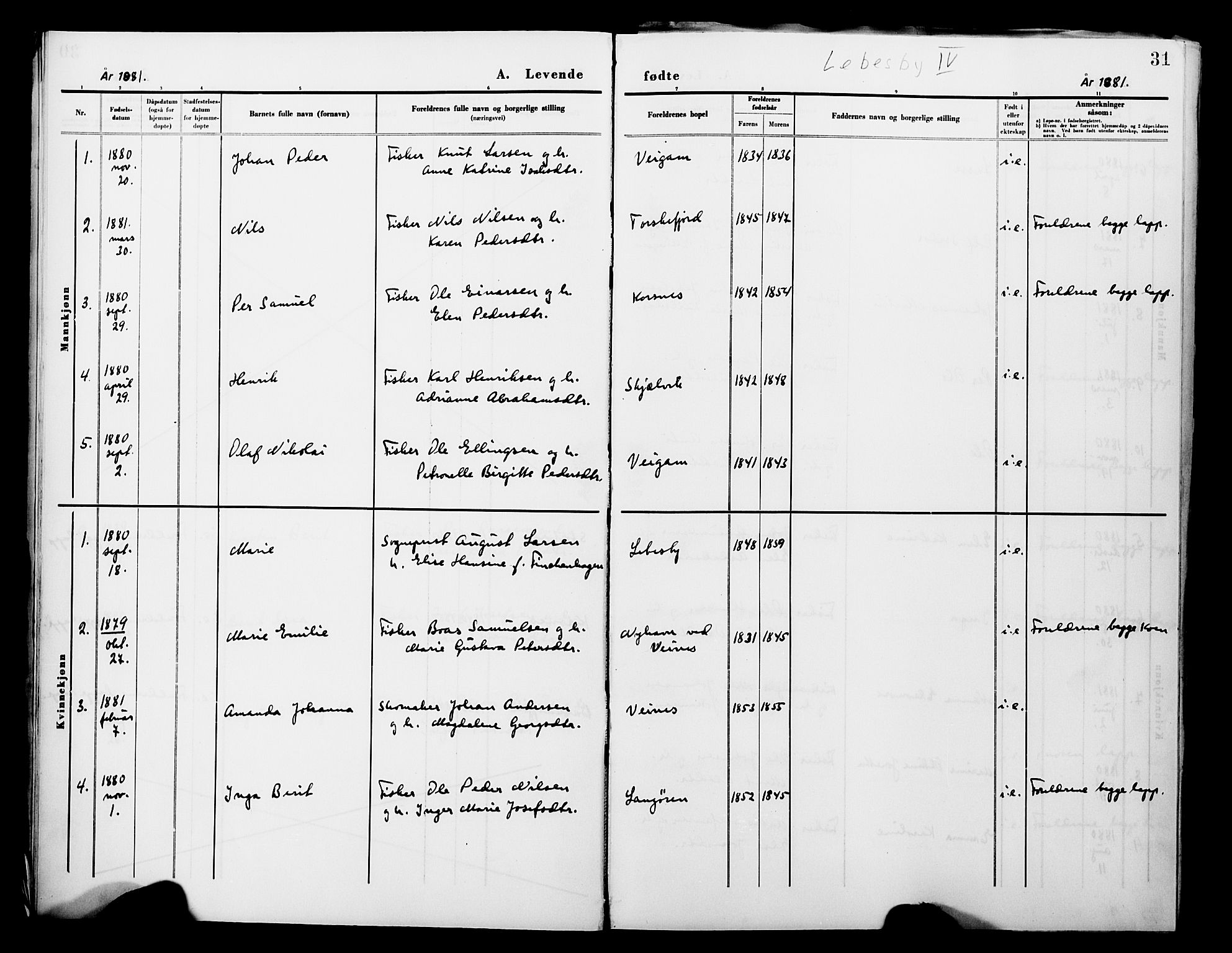 Lebesby sokneprestkontor, SATØ/S-1353/H/Ha/L0004kirke: Parish register (official) no. 4, 1870-1902, p. 31