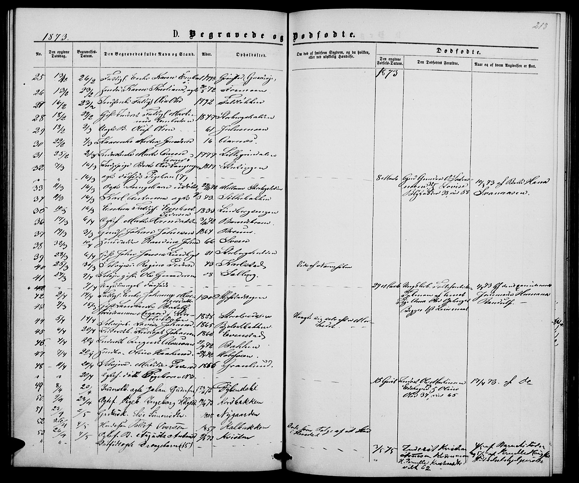 Elverum prestekontor, AV/SAH-PREST-044/H/Ha/Hab/L0004: Parish register (copy) no. 4, 1866-1874, p. 213