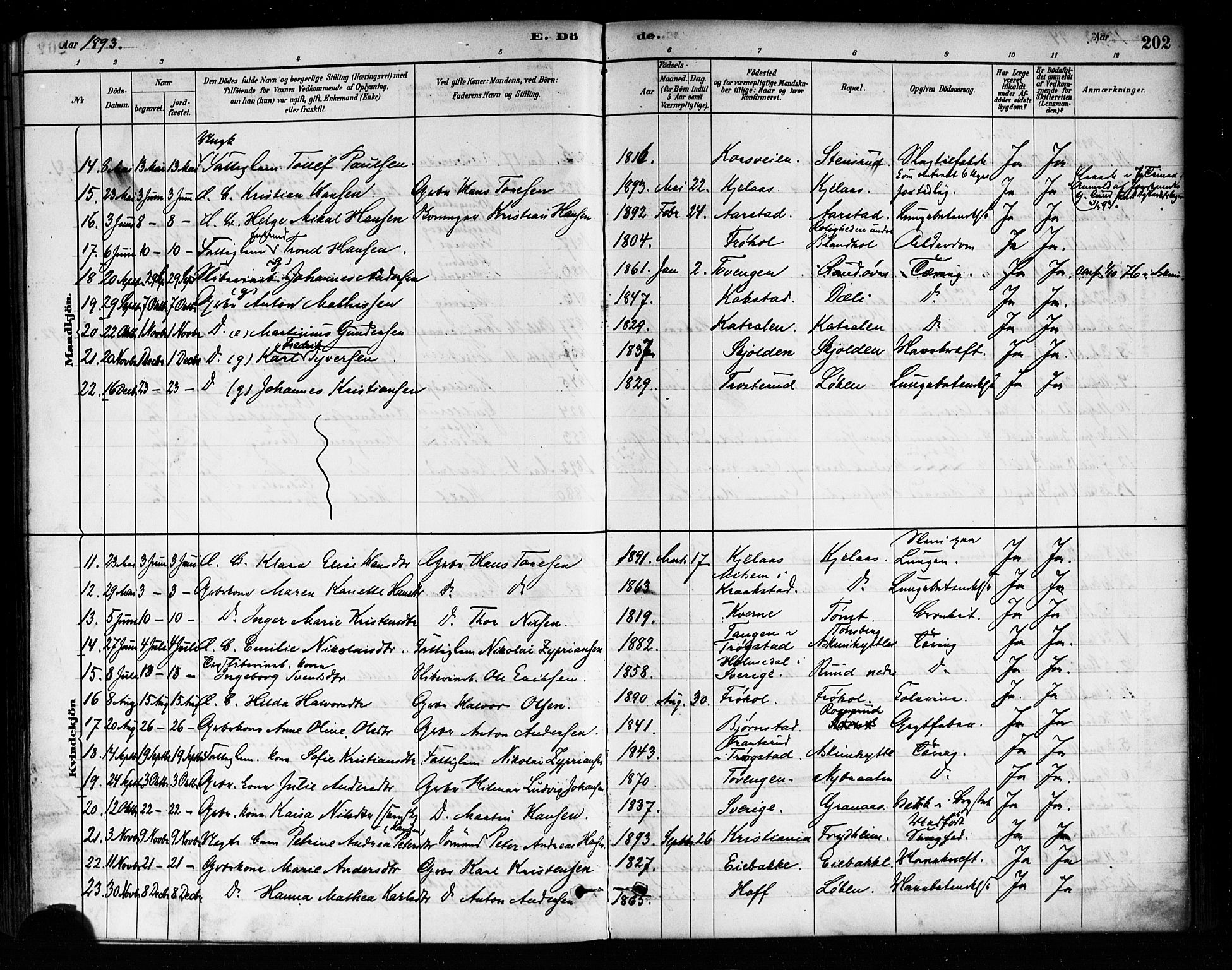 Askim prestekontor Kirkebøker, AV/SAO-A-10900/F/Fa/L0007: Parish register (official) no. 7, 1882-1897, p. 202