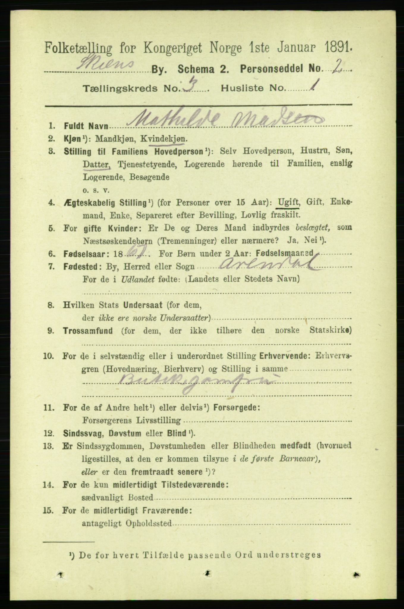 RA, 1891 census for 0806 Skien, 1891, p. 2466