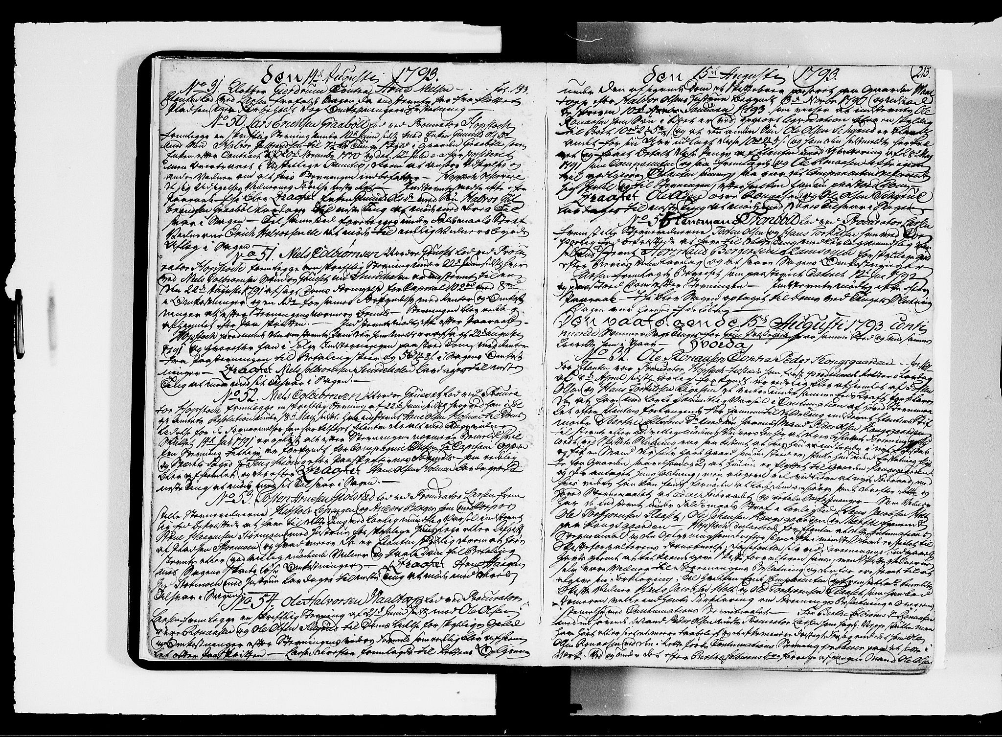 Solør og Odalen sorenskriveri, AV/SAH-TING-026/G/Gb/L0009B: Tingbok, 1793-1795, p. 212b-213a