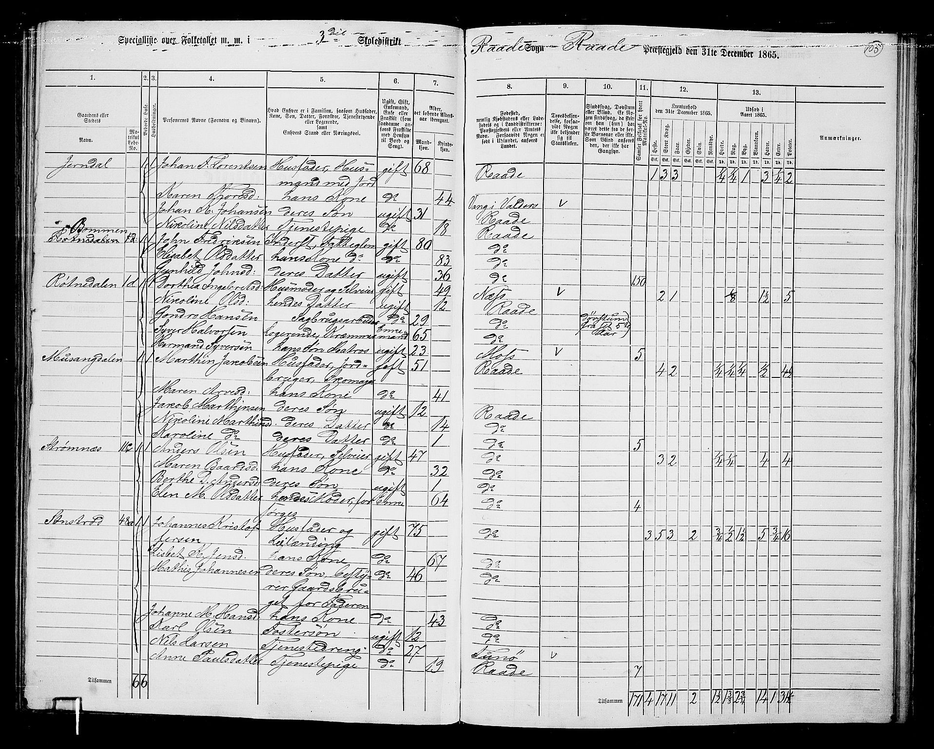 RA, 1865 census for Råde, 1865, p. 97