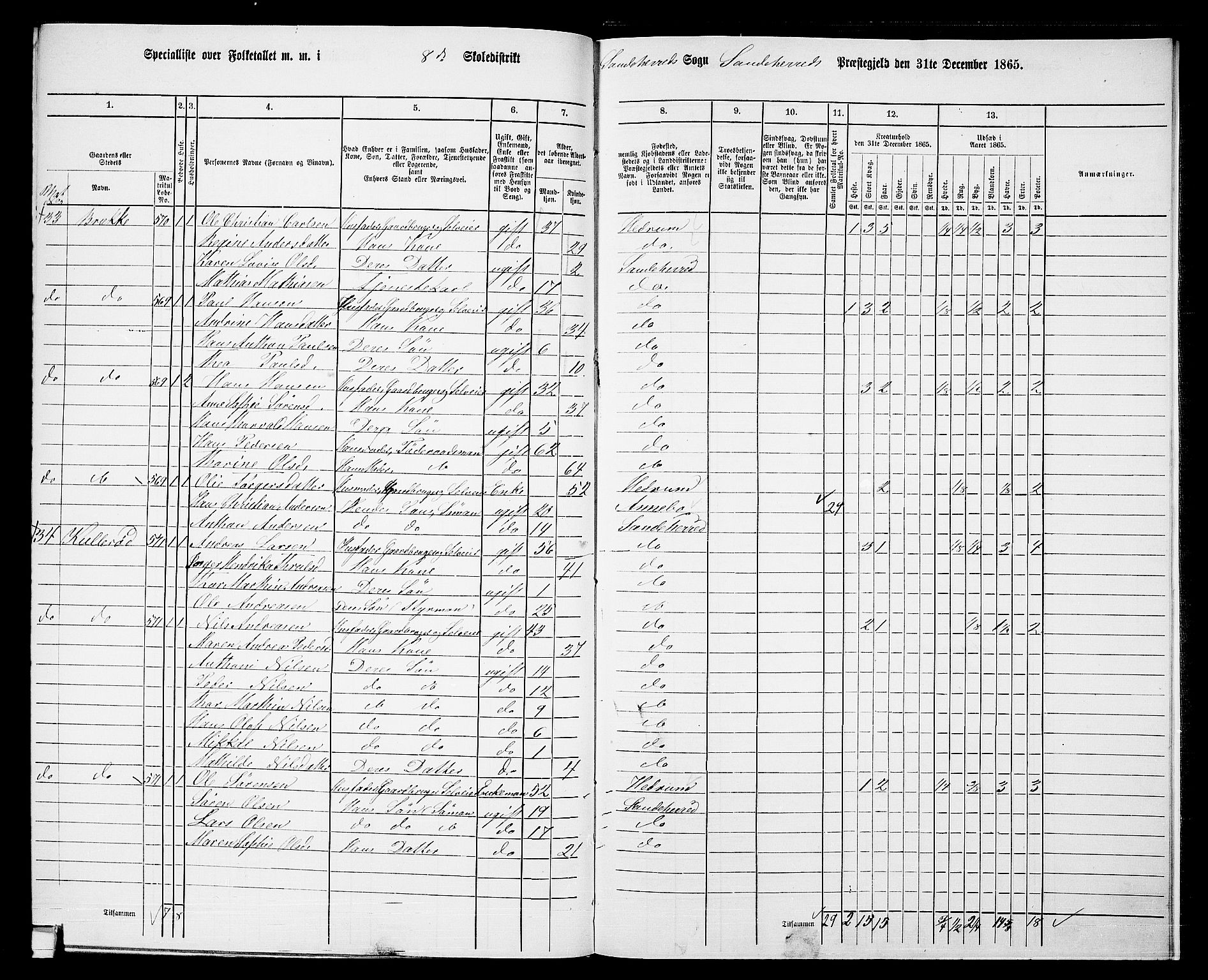 RA, 1865 census for Sandeherred/Sandeherred, 1865, p. 217