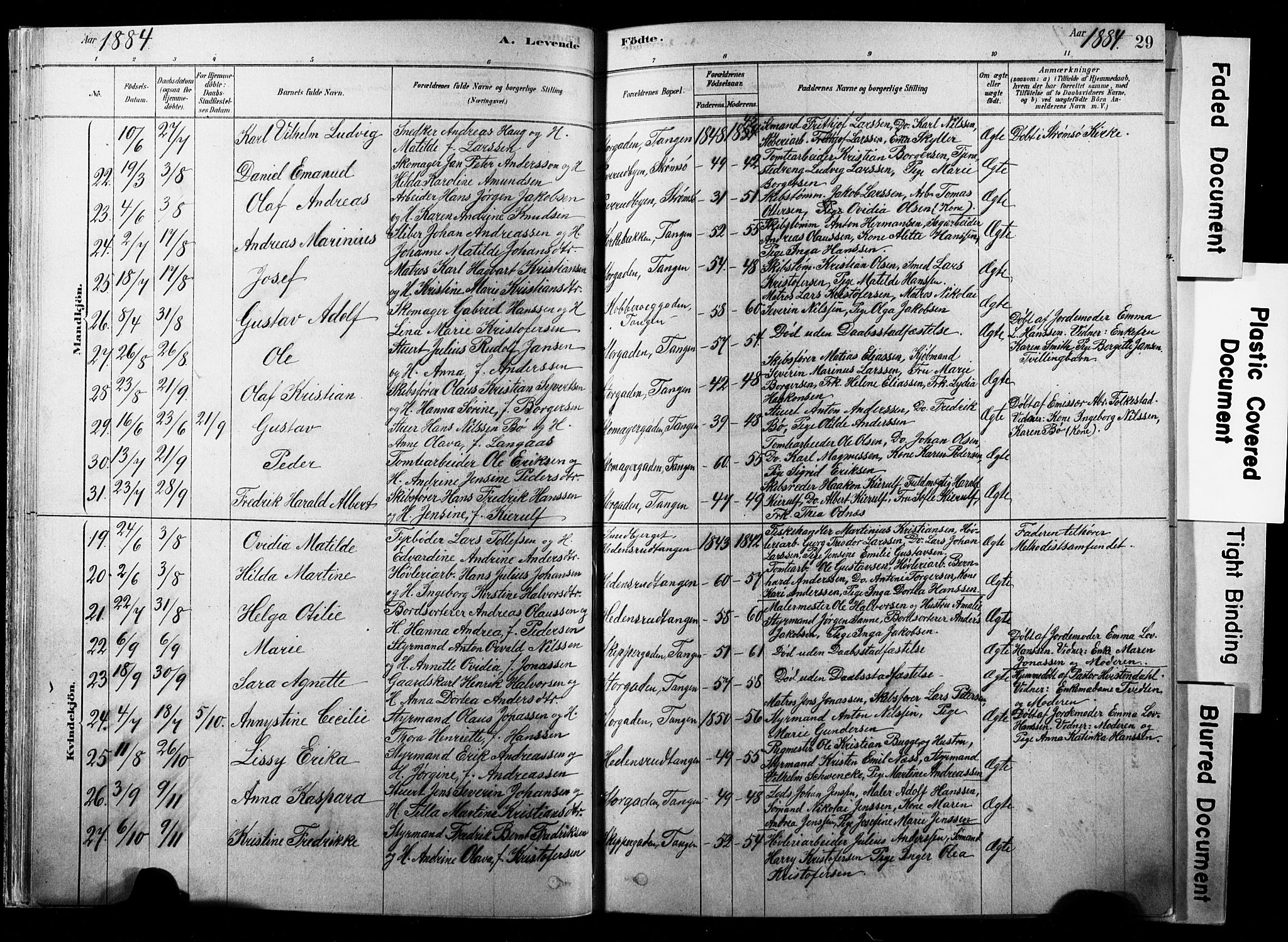 Strømsø kirkebøker, AV/SAKO-A-246/F/Fb/L0006: Parish register (official) no. II 6, 1879-1910, p. 29