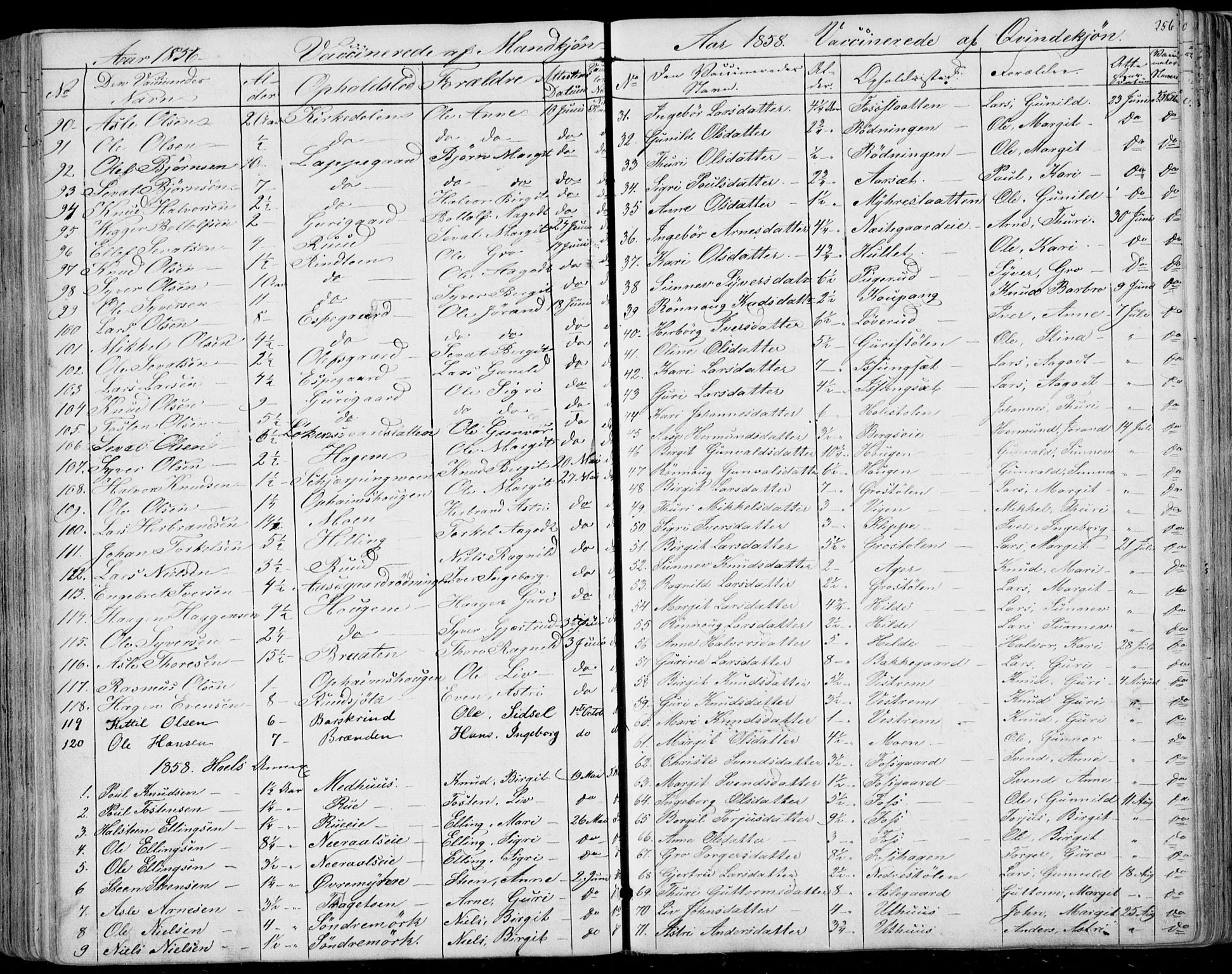 Ål kirkebøker, SAKO/A-249/F/Fa/L0006: Parish register (official) no. I 6, 1849-1864, p. 256