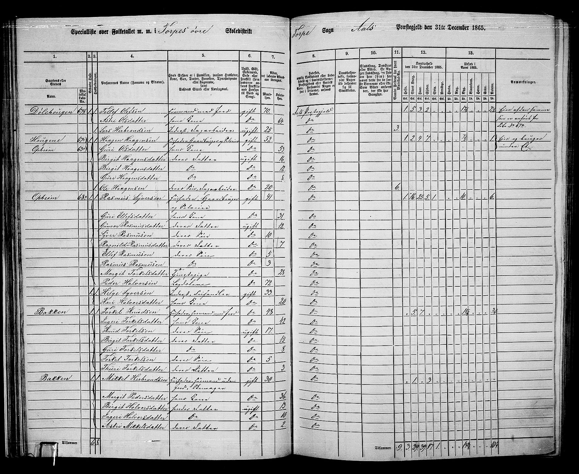 RA, 1865 census for Ål, 1865, p. 48