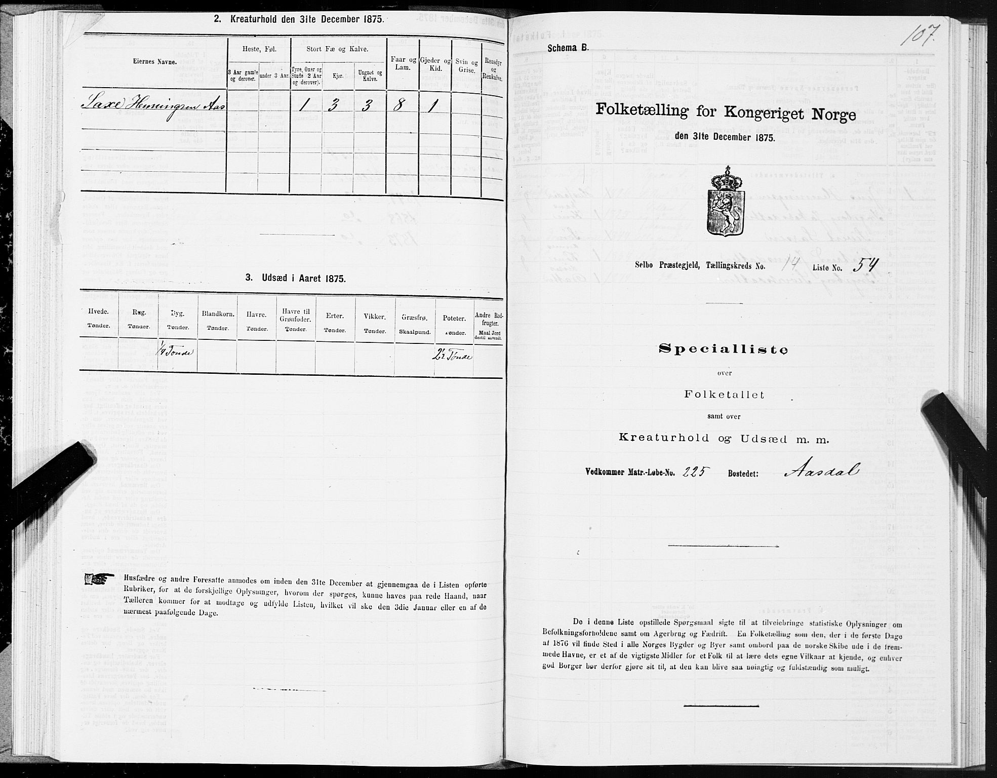 SAT, 1875 census for 1664P Selbu, 1875, p. 7107