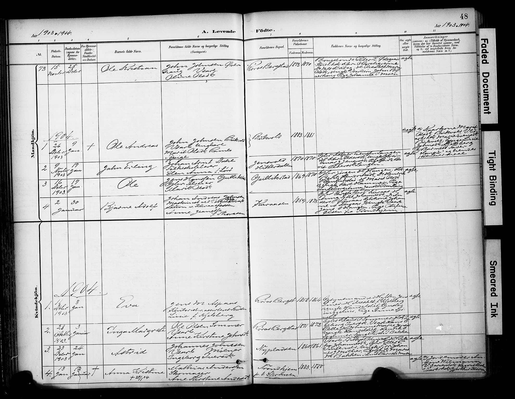 Ministerialprotokoller, klokkerbøker og fødselsregistre - Sør-Trøndelag, SAT/A-1456/681/L0936: Parish register (official) no. 681A14, 1899-1908, p. 48