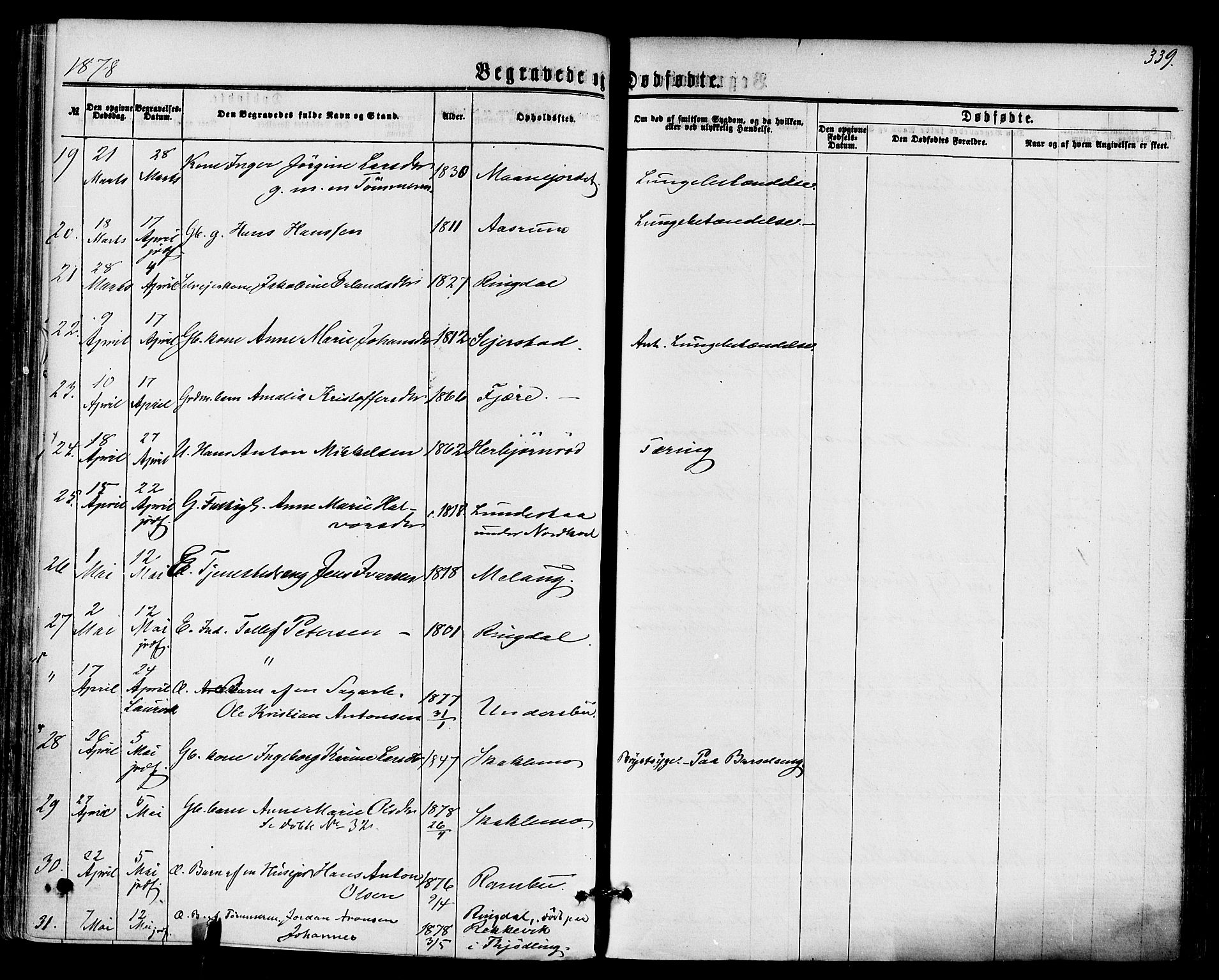 Hedrum kirkebøker, AV/SAKO-A-344/F/Fa/L0008: Parish register (official) no. I 8, 1869-1880, p. 339