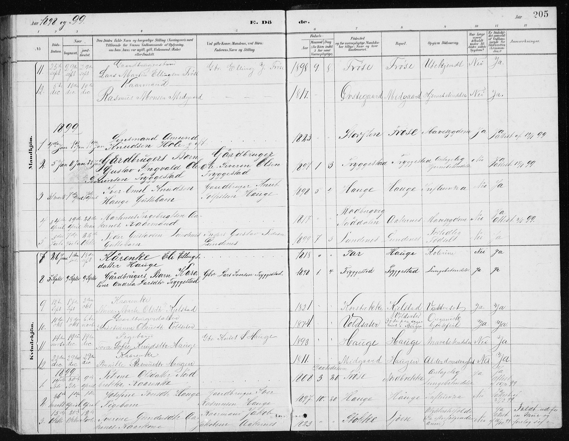 Ministerialprotokoller, klokkerbøker og fødselsregistre - Møre og Romsdal, SAT/A-1454/517/L0230: Parish register (copy) no. 517C03, 1879-1912, p. 205