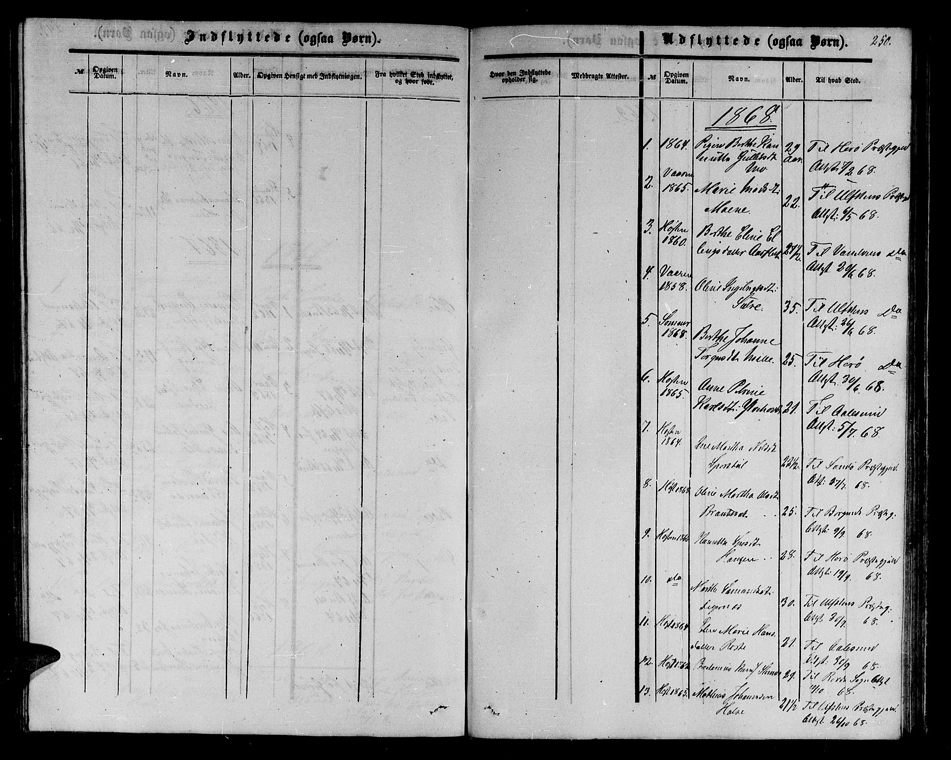 Ministerialprotokoller, klokkerbøker og fødselsregistre - Møre og Romsdal, AV/SAT-A-1454/513/L0188: Parish register (copy) no. 513C02, 1865-1882, p. 250