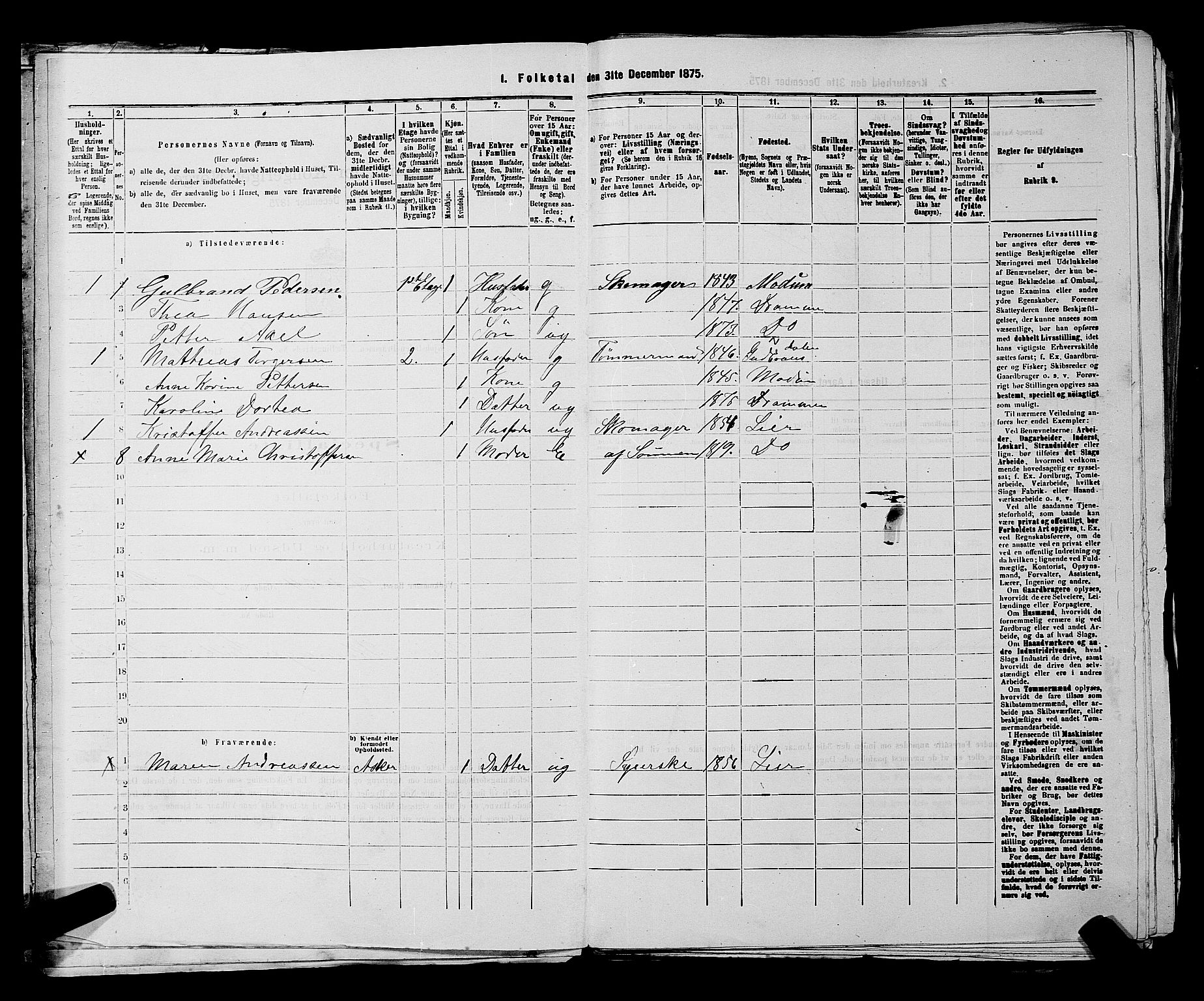 SAKO, 1875 census for 0602 Drammen, 1875, p. 683