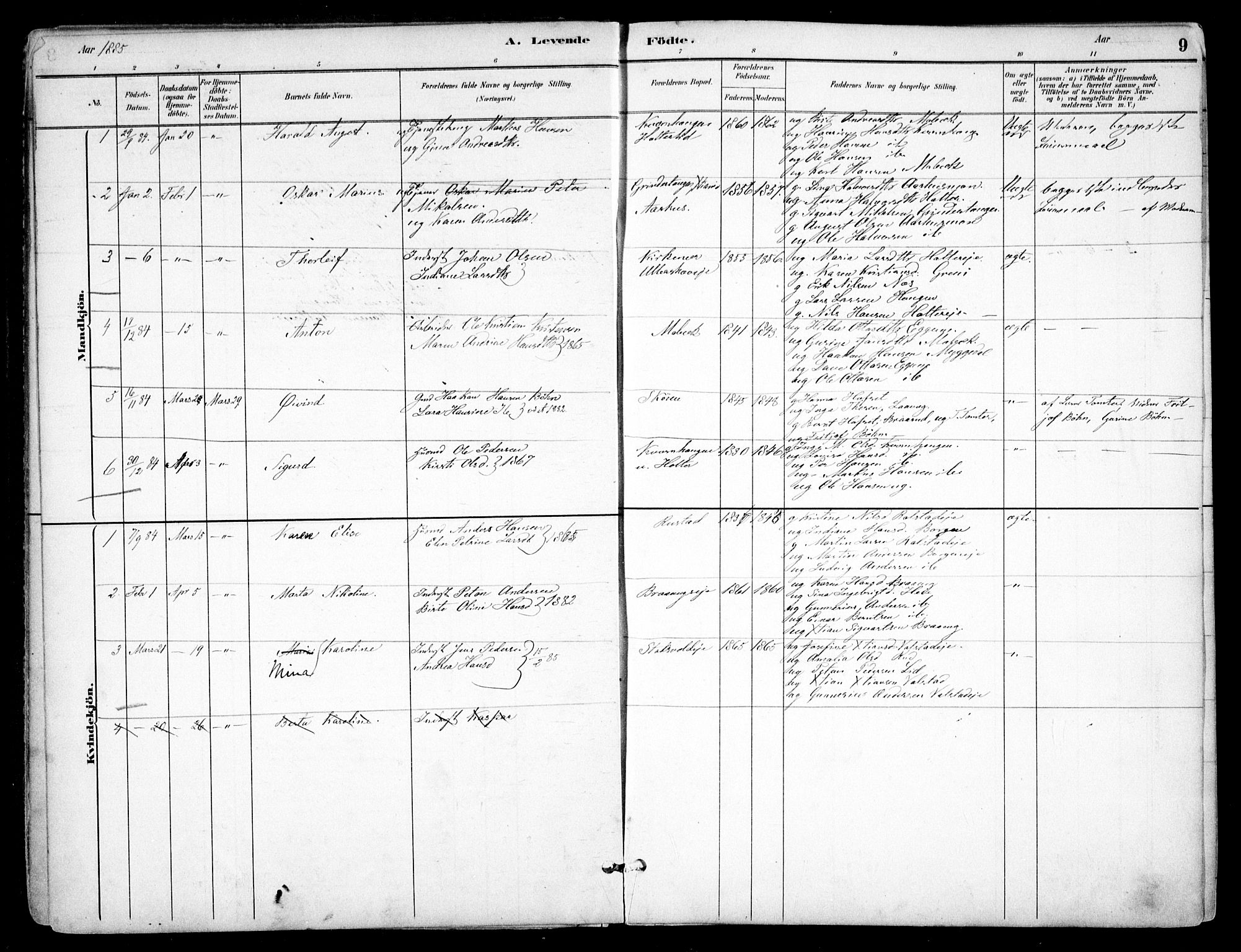 Nes prestekontor Kirkebøker, SAO/A-10410/F/Fb/L0002: Parish register (official) no. II 2, 1883-1918, p. 9