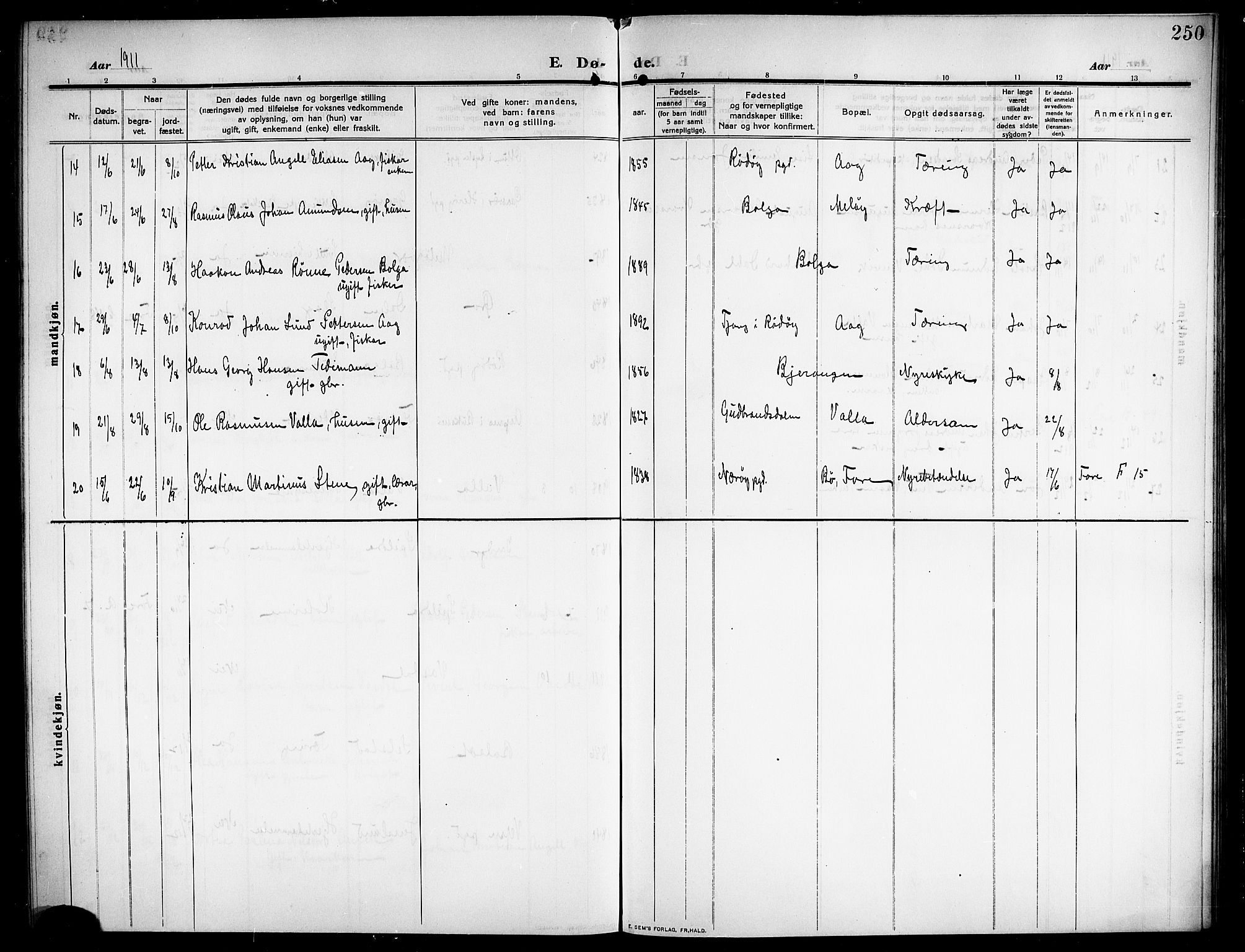 Ministerialprotokoller, klokkerbøker og fødselsregistre - Nordland, AV/SAT-A-1459/843/L0639: Parish register (copy) no. 843C08, 1908-1924, p. 250