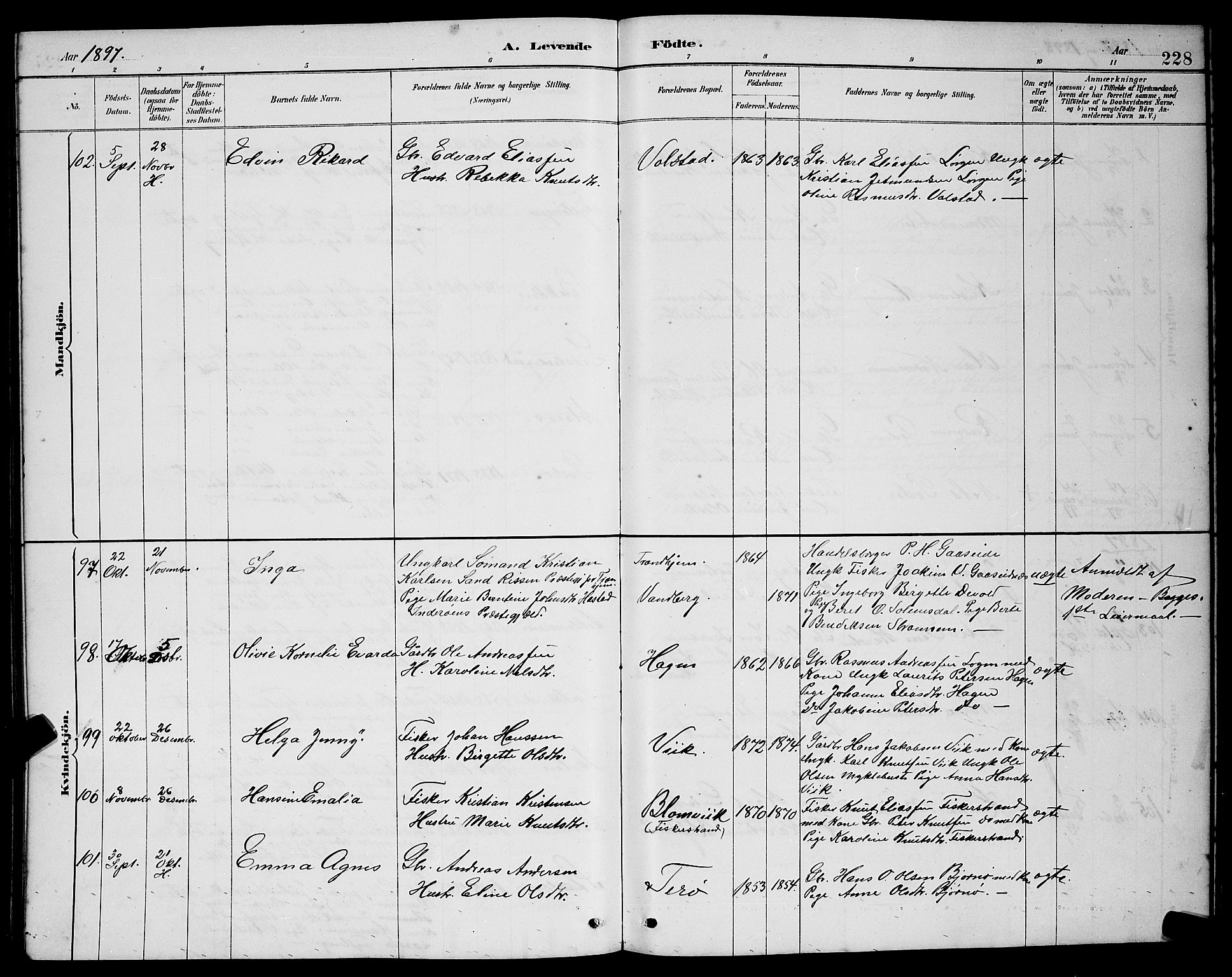 Ministerialprotokoller, klokkerbøker og fødselsregistre - Møre og Romsdal, AV/SAT-A-1454/528/L0431: Parish register (copy) no. 528C12, 1885-1898, p. 228