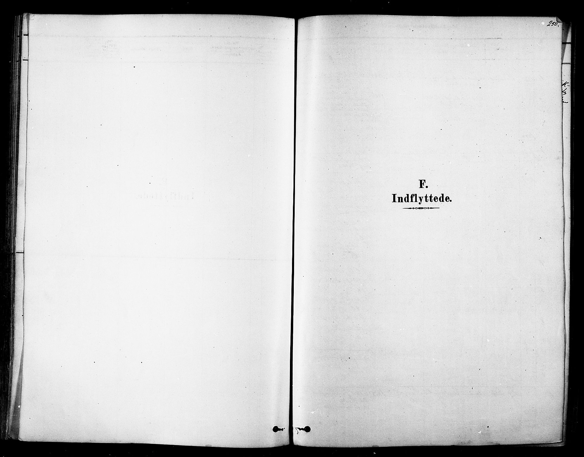 Tana sokneprestkontor, SATØ/S-1334/H/Ha/L0004kirke: Parish register (official) no. 4, 1878-1891, p. 250