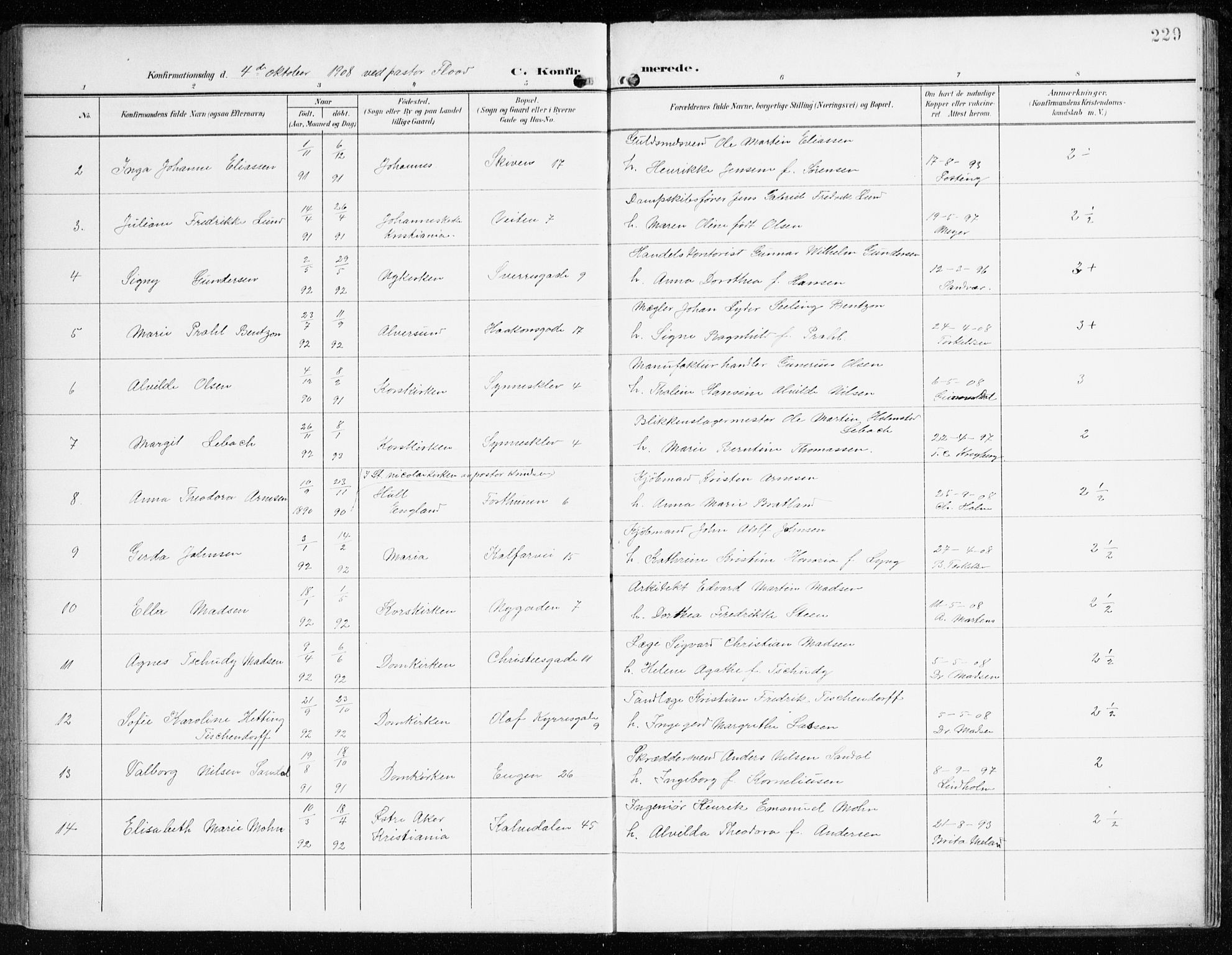 Domkirken sokneprestembete, SAB/A-74801/H/Haa/L0031: Parish register (official) no. C 6, 1898-1915, p. 229