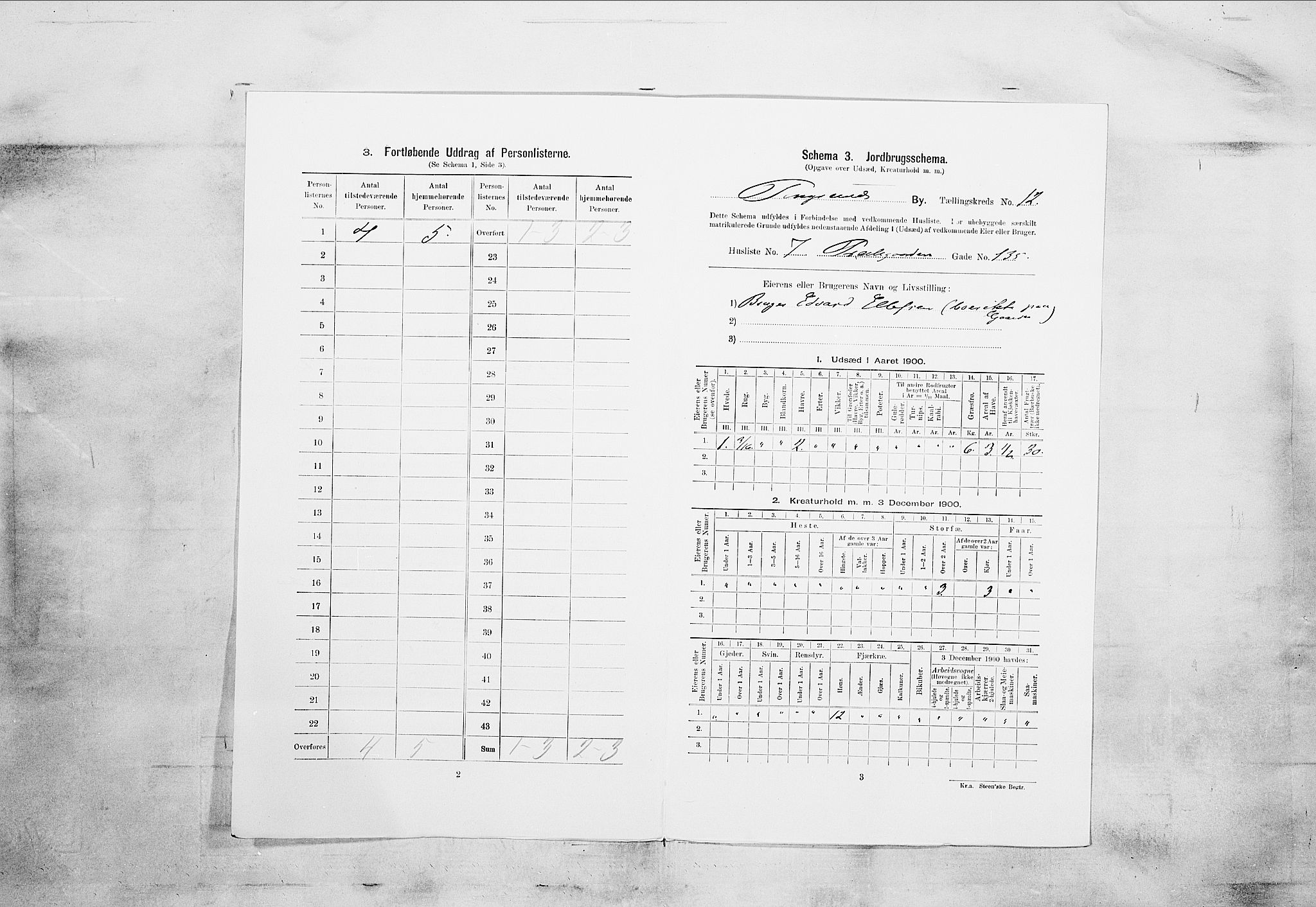 SAKO, 1900 census for Porsgrunn, 1900, p. 2181