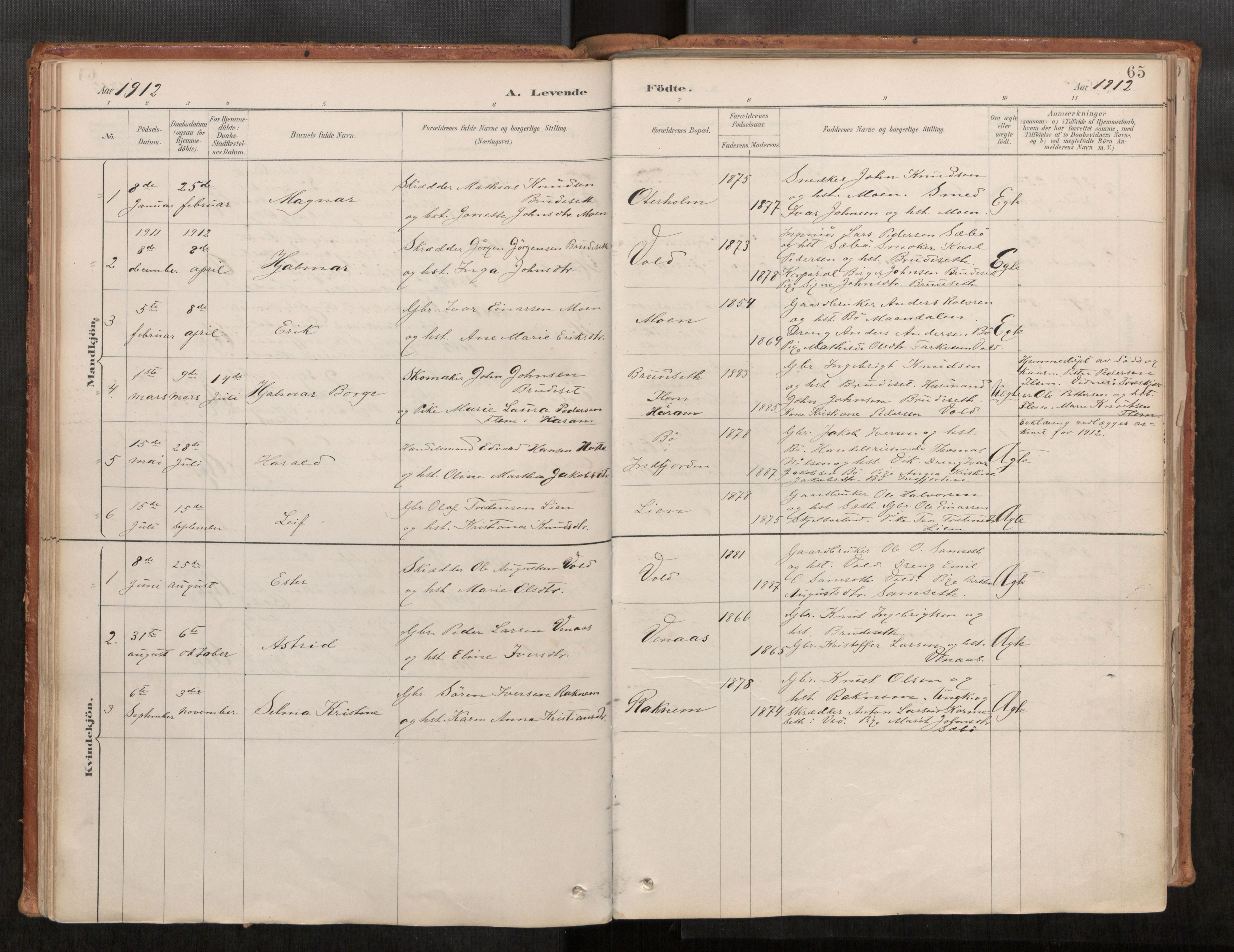 Ministerialprotokoller, klokkerbøker og fødselsregistre - Møre og Romsdal, AV/SAT-A-1454/543/L0568: Parish register (official) no. 543A03, 1885-1915, p. 65