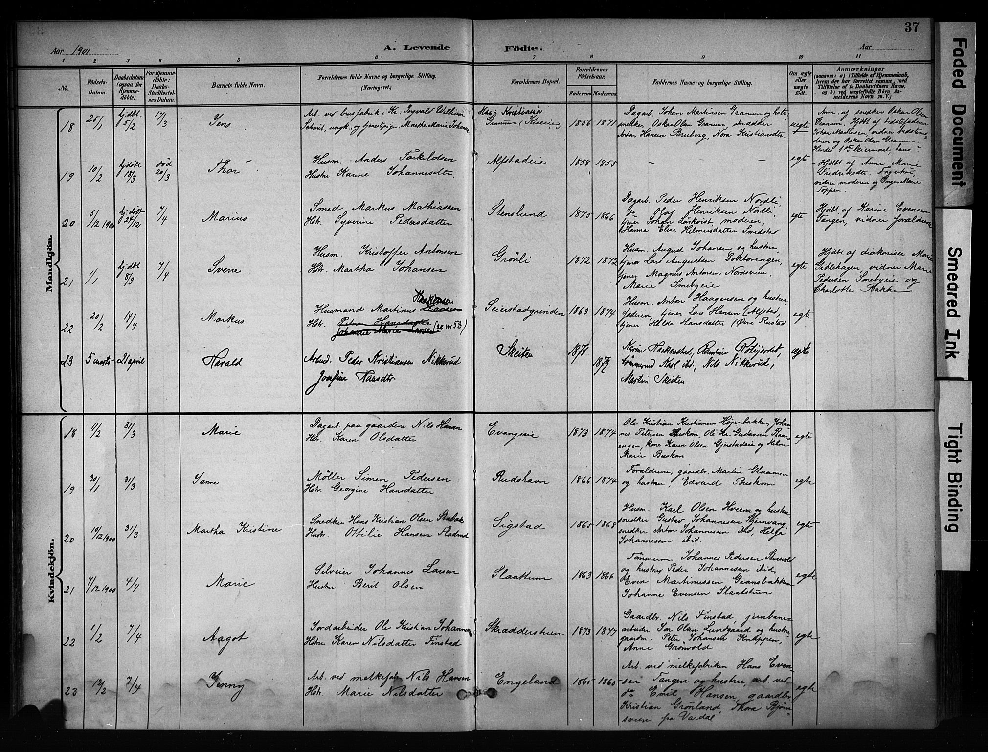 Østre Toten prestekontor, SAH/PREST-104/H/Ha/Haa/L0008: Parish register (official) no. 8, 1897-1909, p. 37