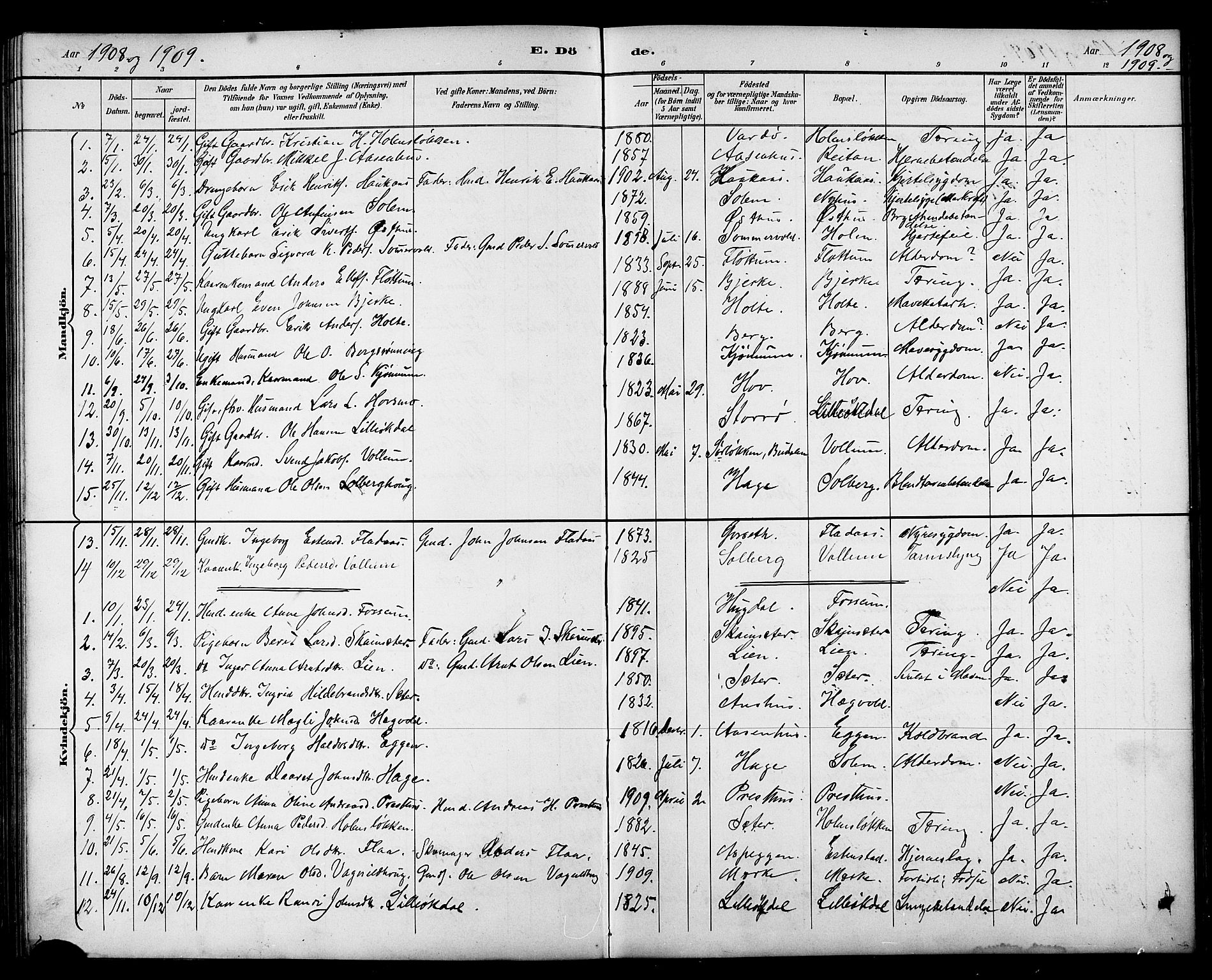 Ministerialprotokoller, klokkerbøker og fødselsregistre - Sør-Trøndelag, AV/SAT-A-1456/689/L1044: Parish register (copy) no. 689C03, 1893-1922