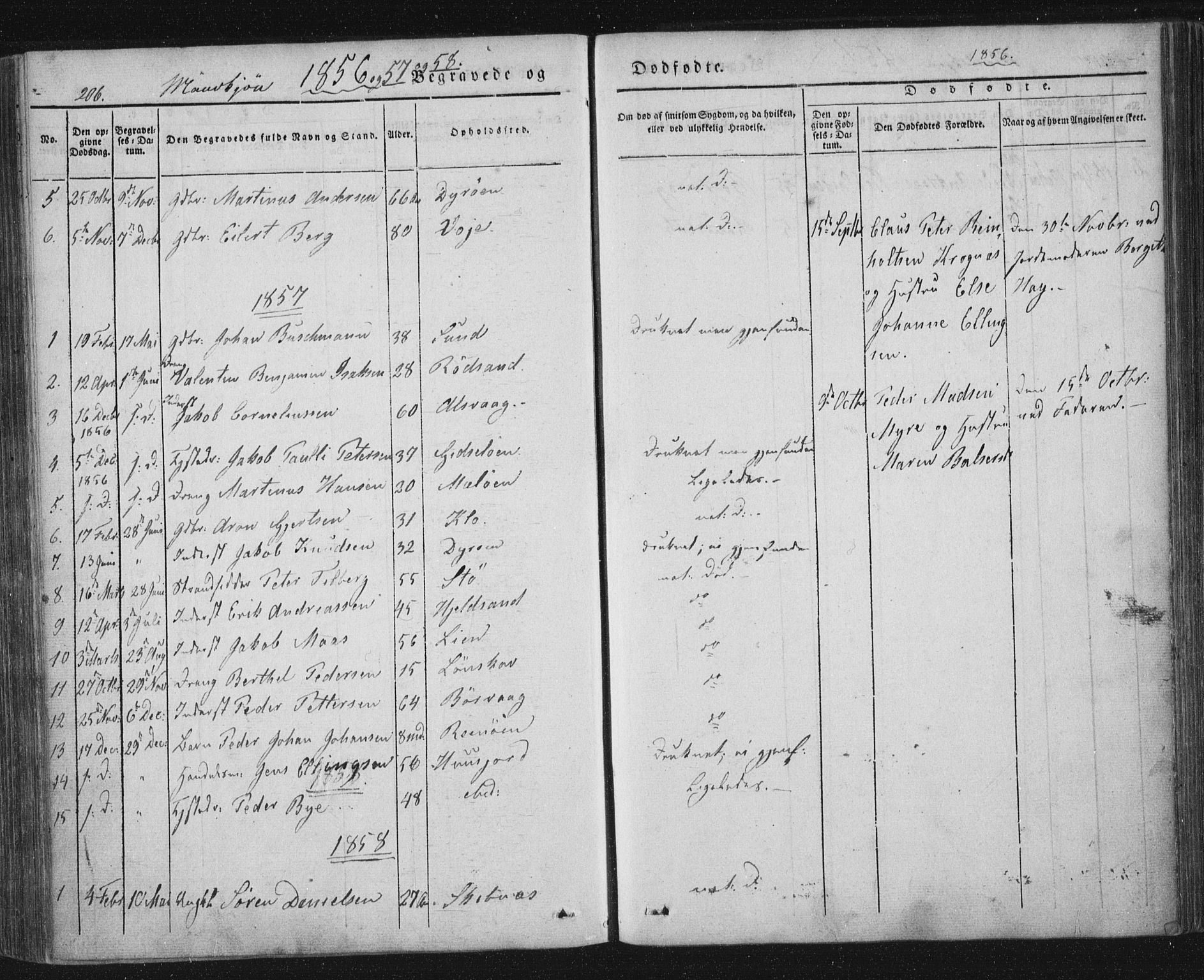 Ministerialprotokoller, klokkerbøker og fødselsregistre - Nordland, AV/SAT-A-1459/893/L1332: Parish register (official) no. 893A05, 1841-1858, p. 206