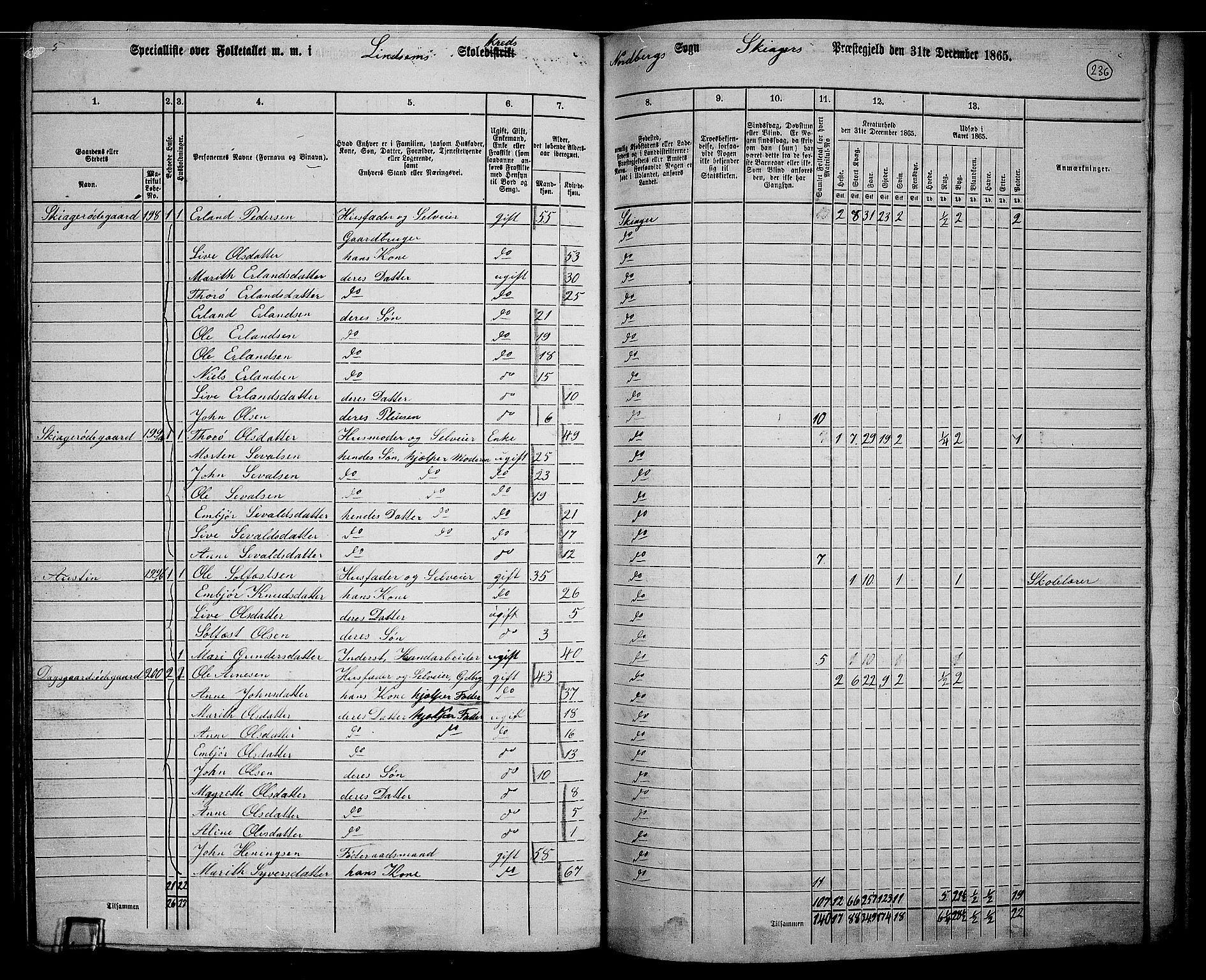 RA, 1865 census for Skjåk, 1865, p. 83