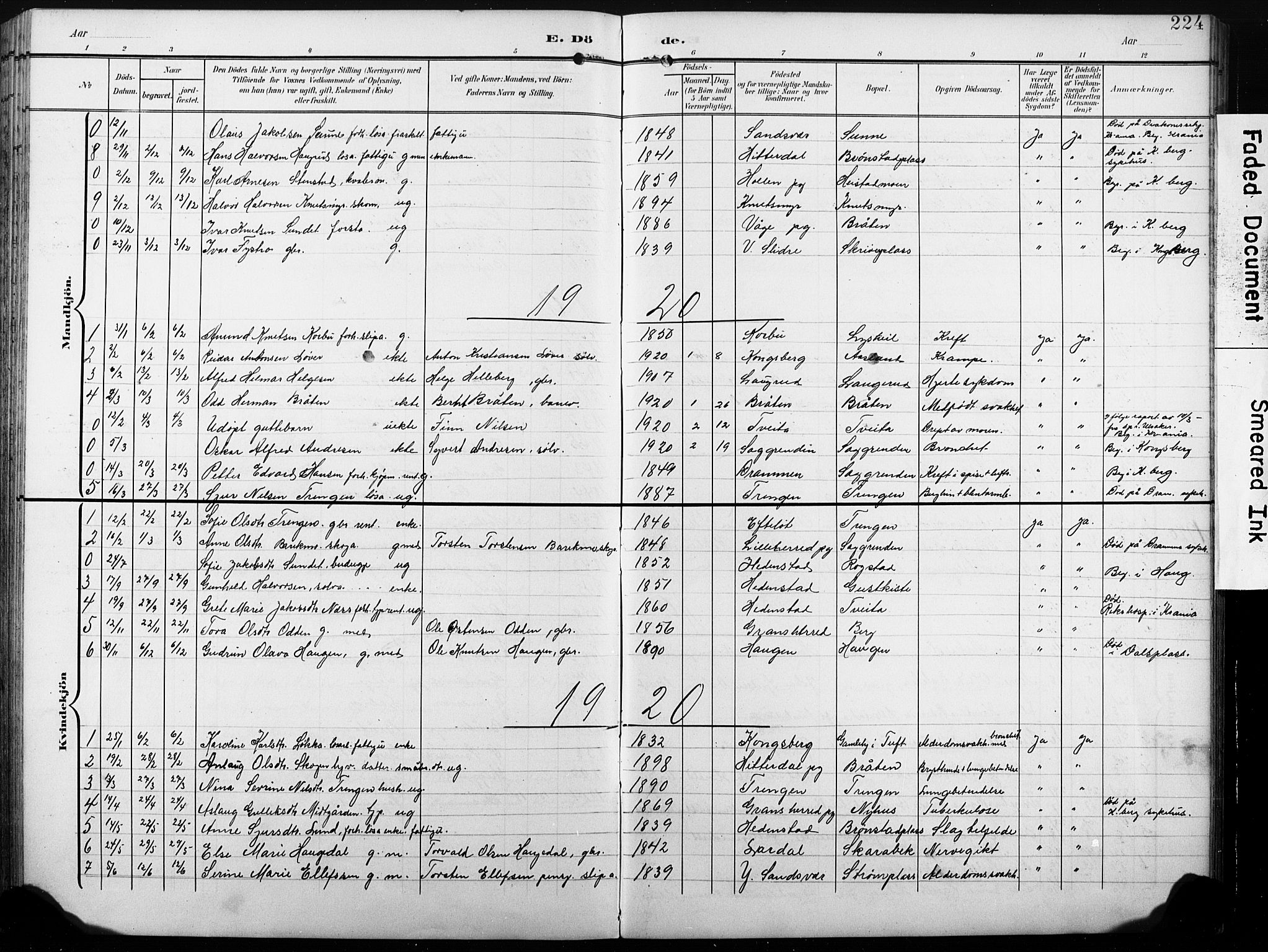 Sandsvær kirkebøker, AV/SAKO-A-244/G/Gd/L0004a: Parish register (copy) no. IV 4A, 1901-1932, p. 224