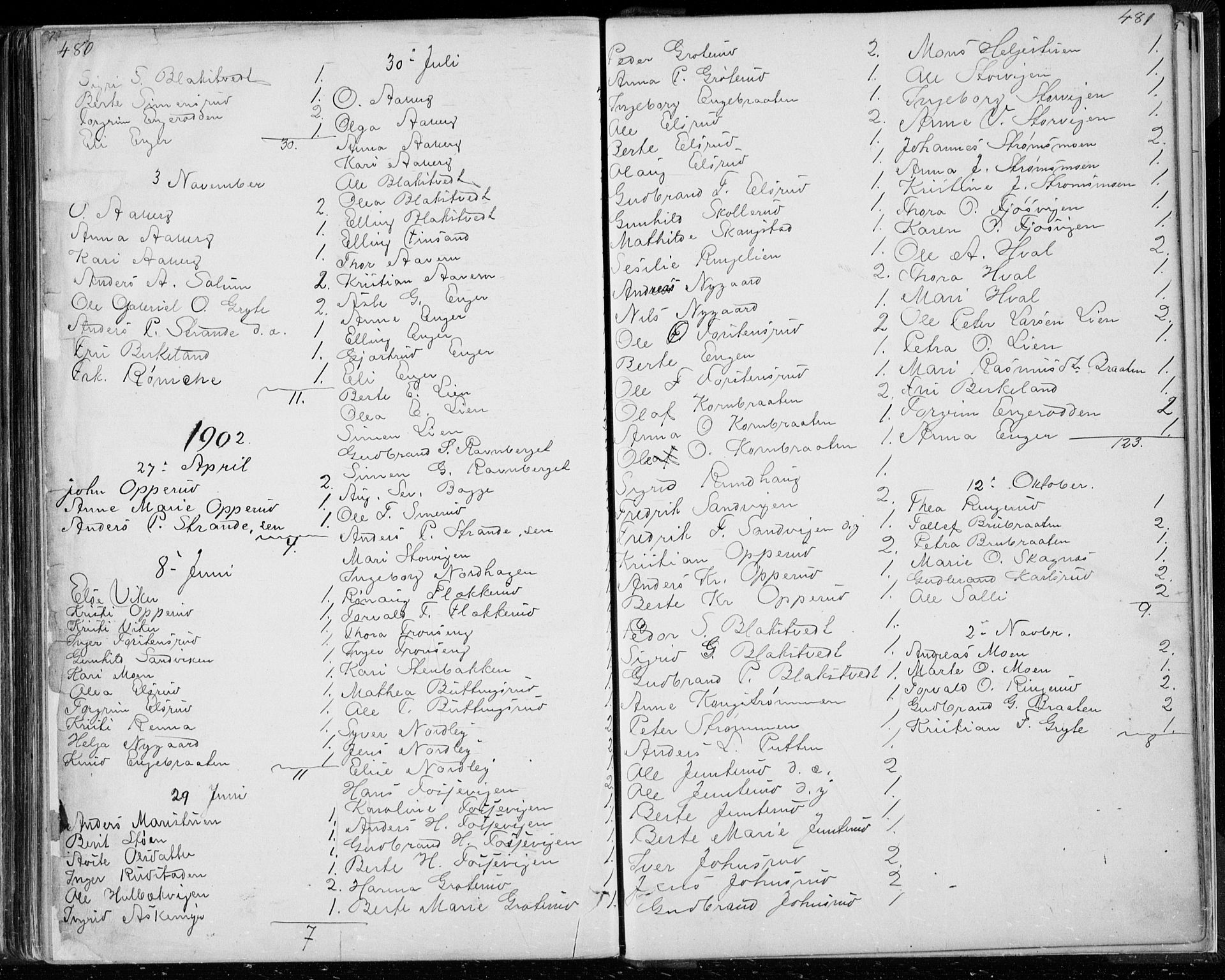 Ådal kirkebøker, SAKO/A-248/G/Ga/L0003: Parish register (copy) no. I 3, 1862-1891, p. 480-481