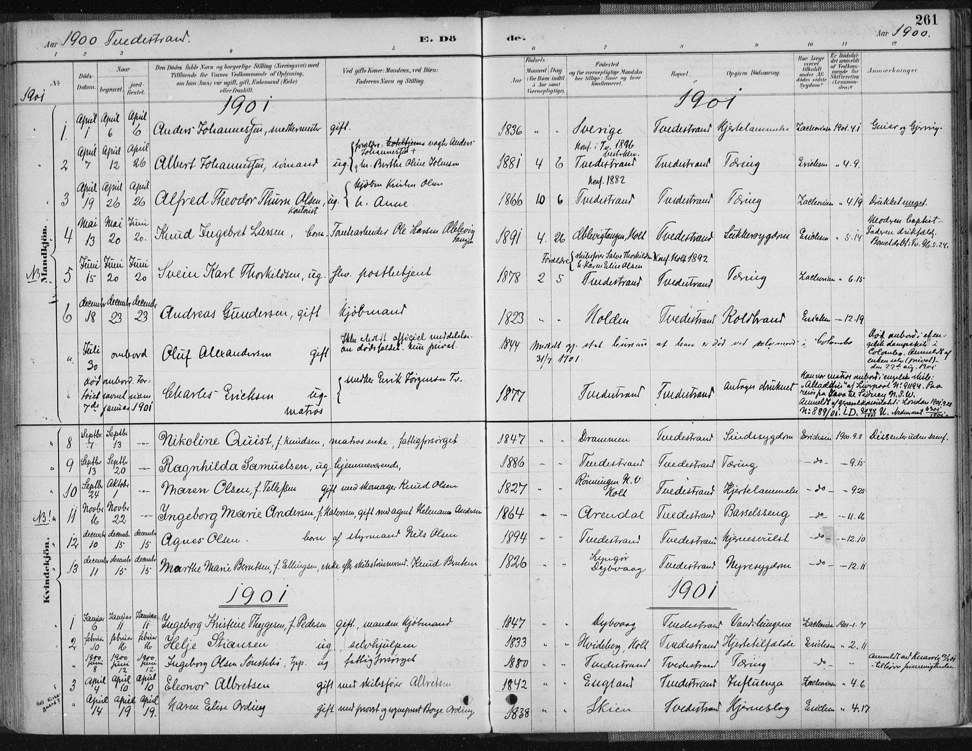 Tvedestrand sokneprestkontor, AV/SAK-1111-0042/F/Fa/L0001: Parish register (official) no. A 1, 1885-1916, p. 261